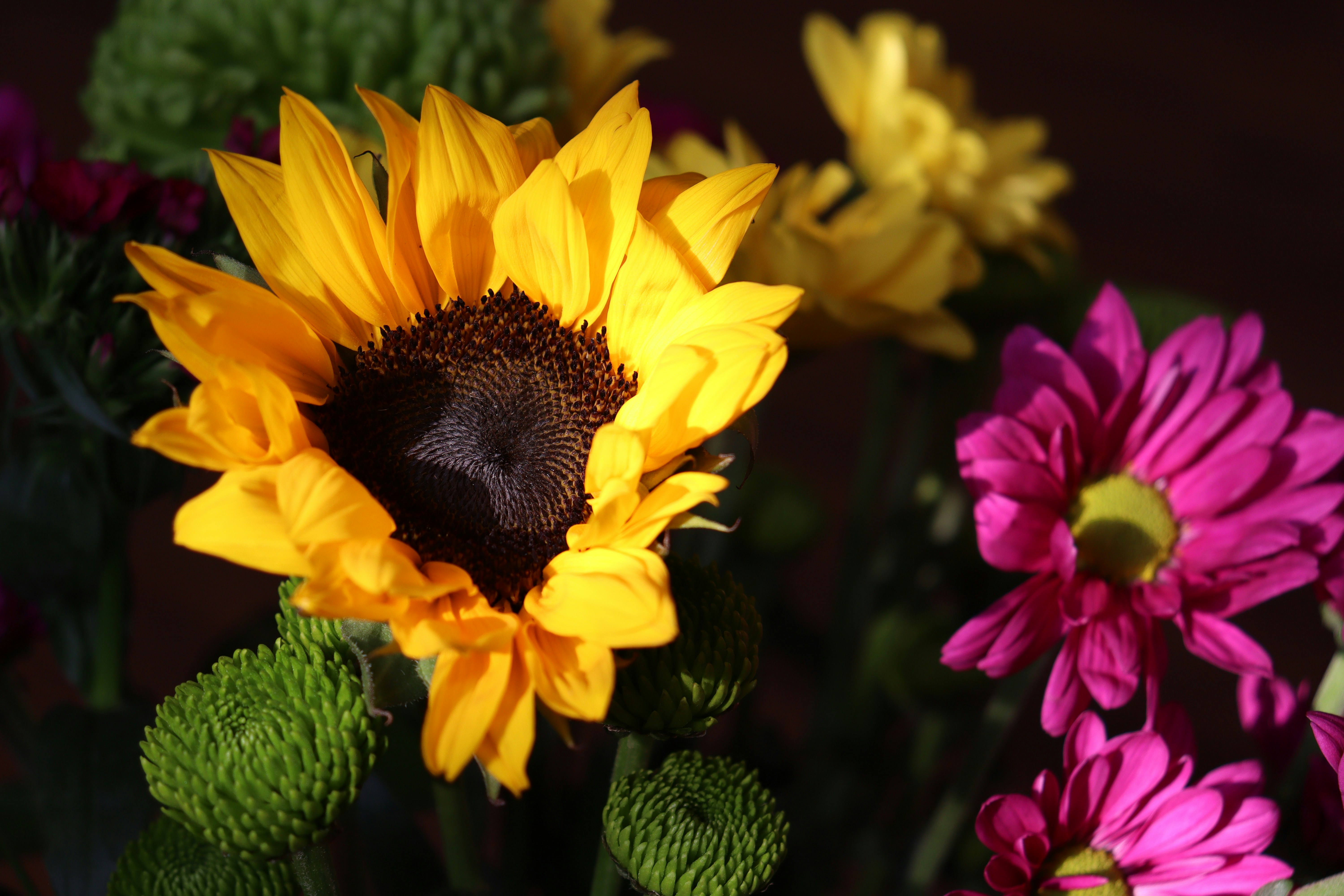 Photo by mari_drakkar