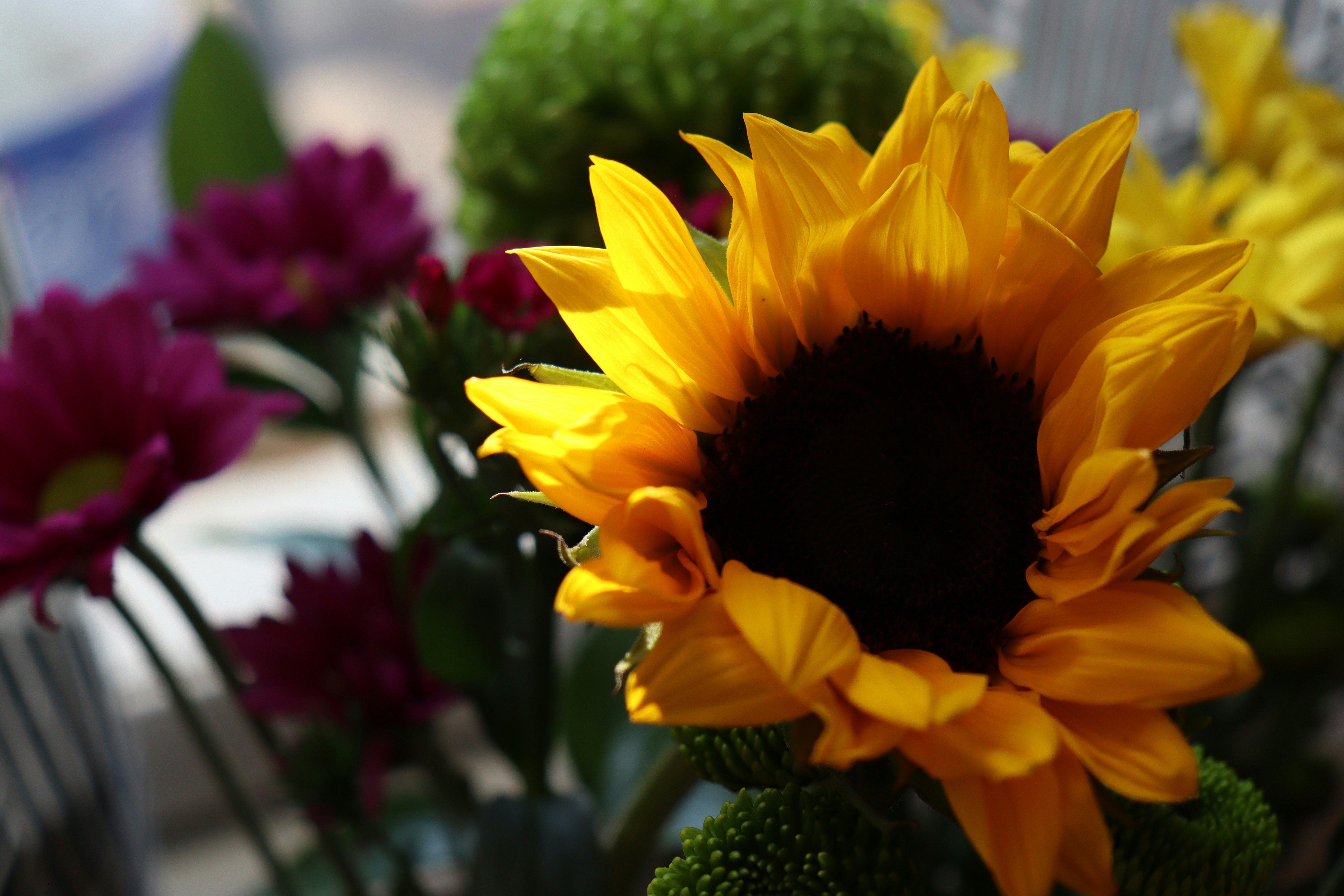 Photo by mari_drakkar