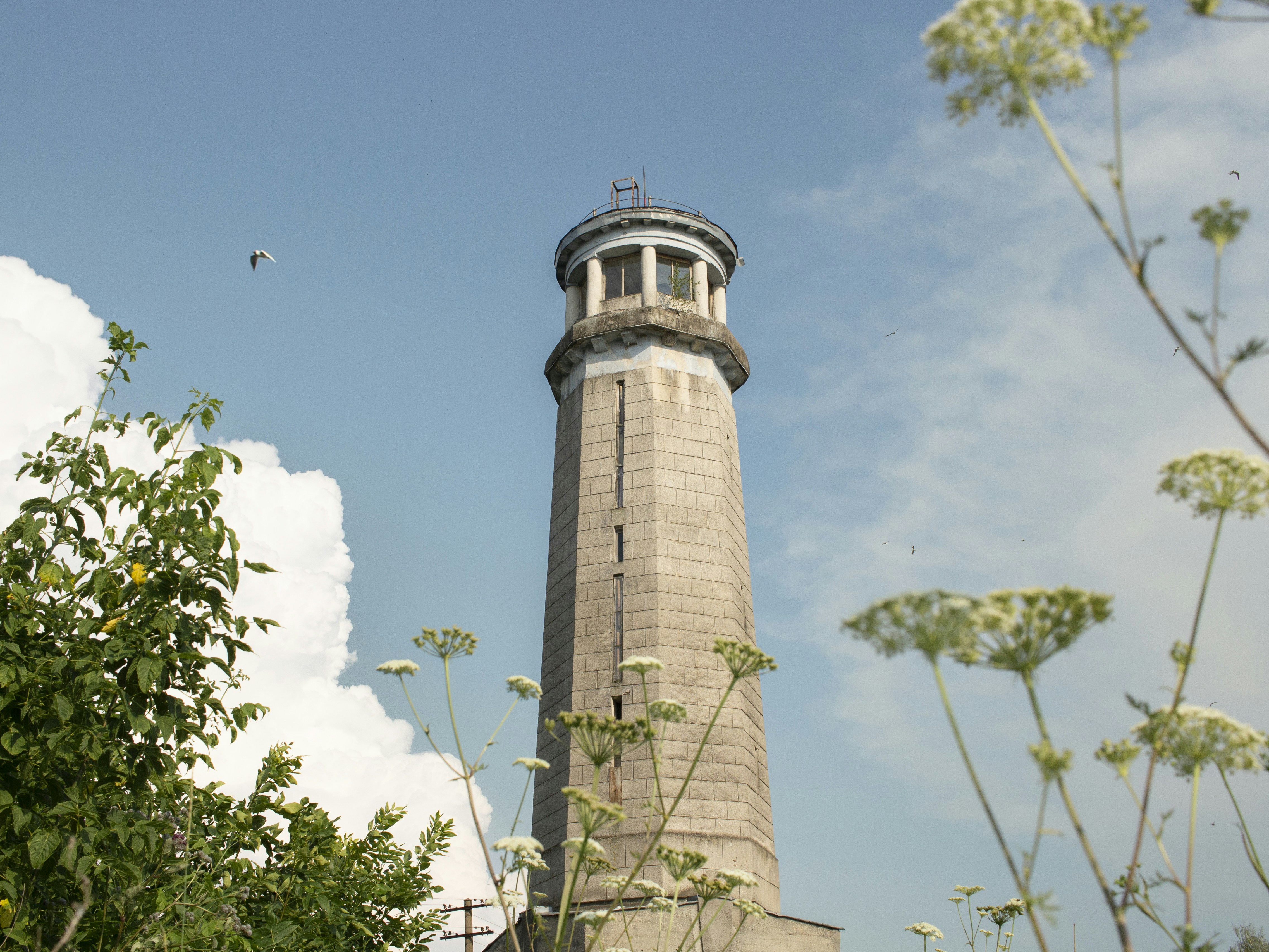 Photo by annie_smurova