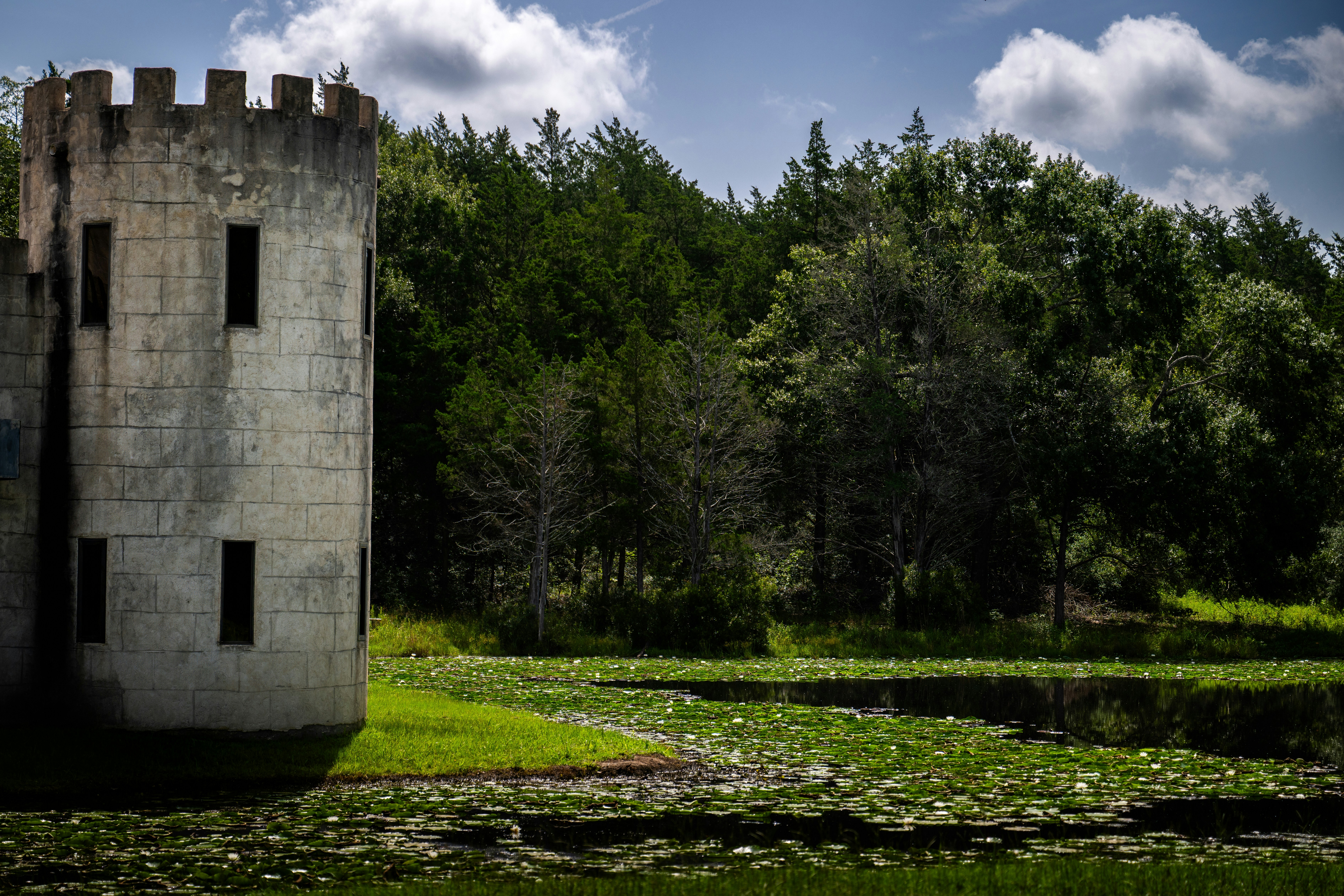 A castle tower overlooks a lush, green landscape.