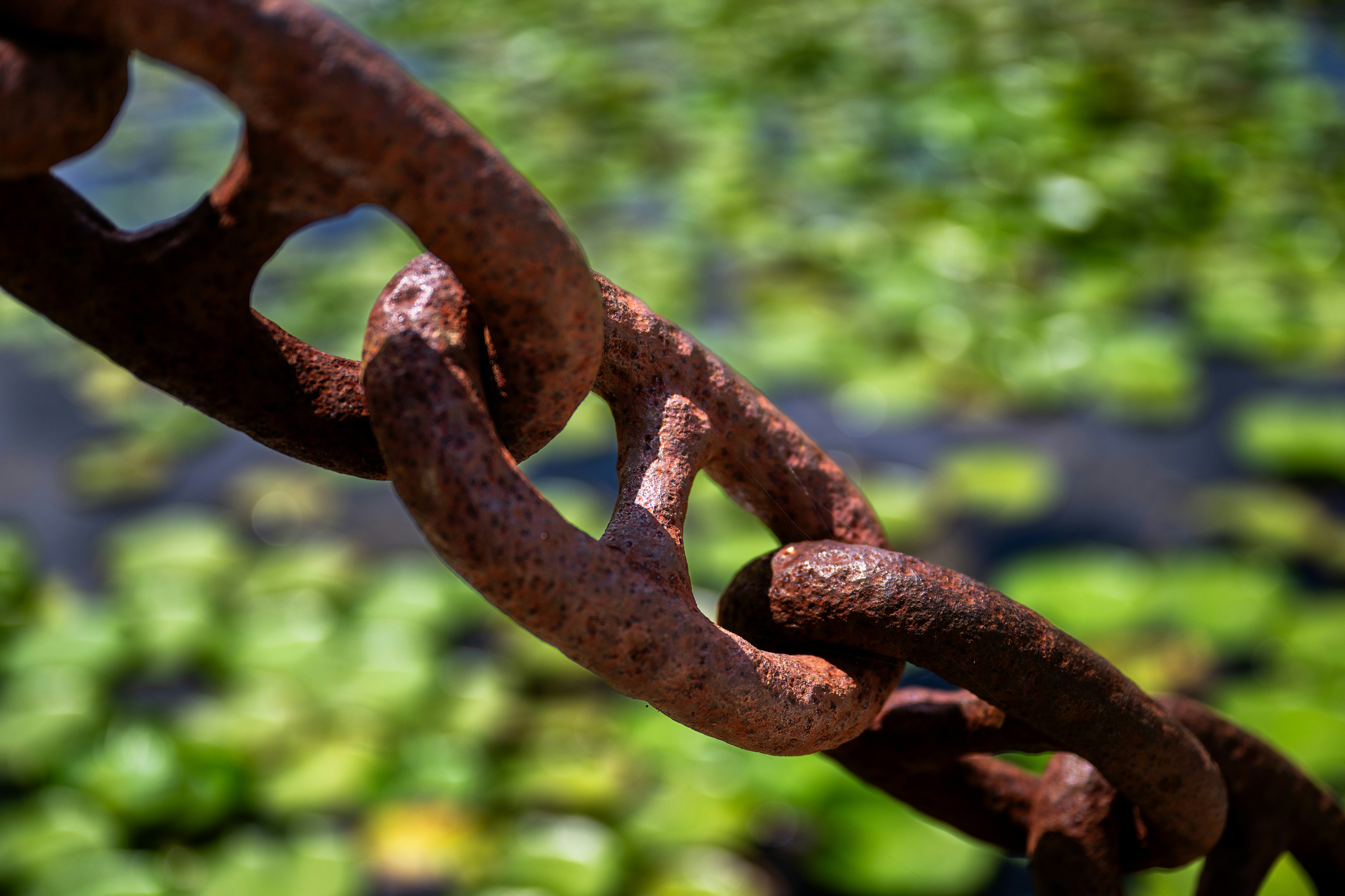 A rusty chain with a soft green background.