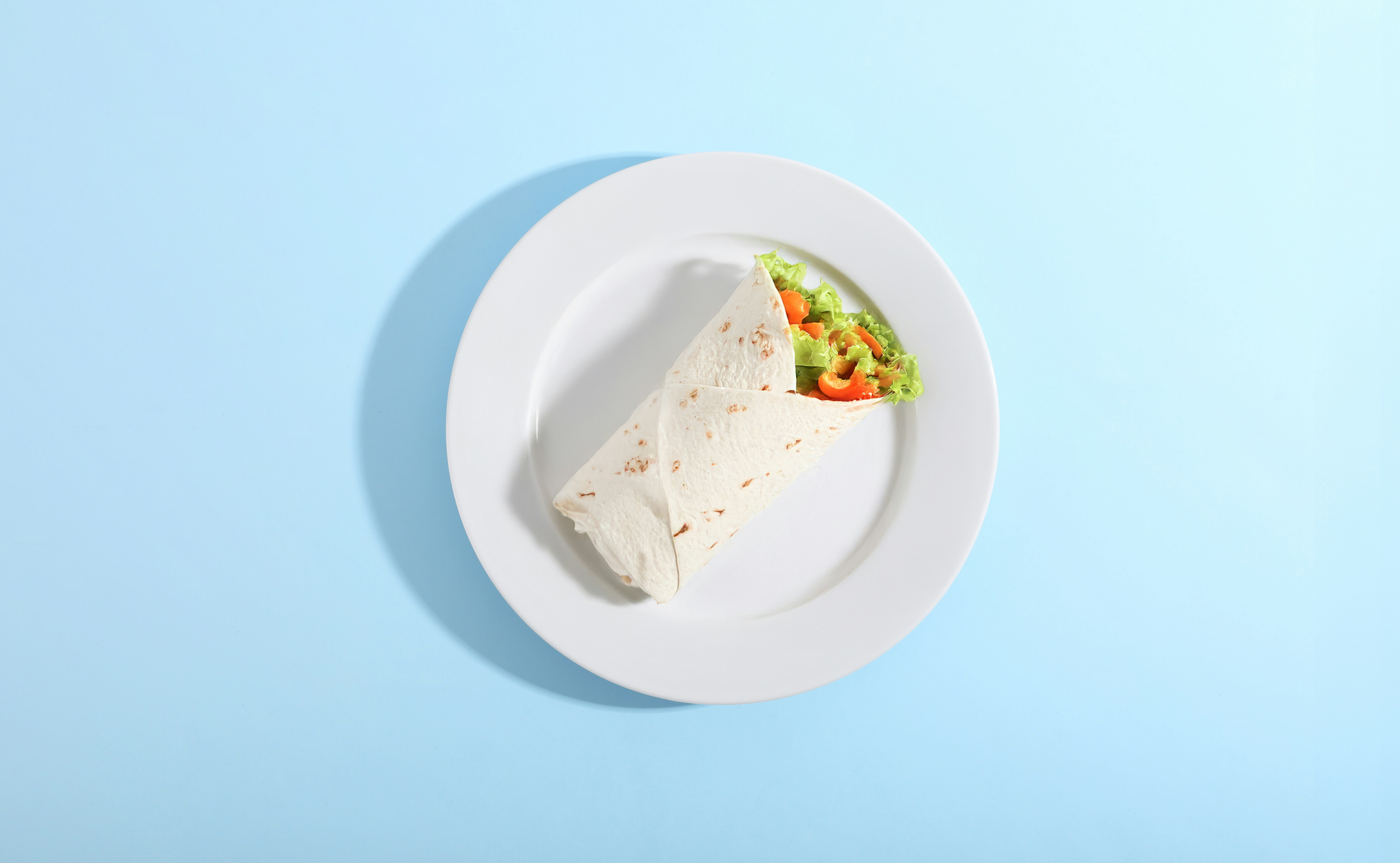 A wrap and salad on a white plate.