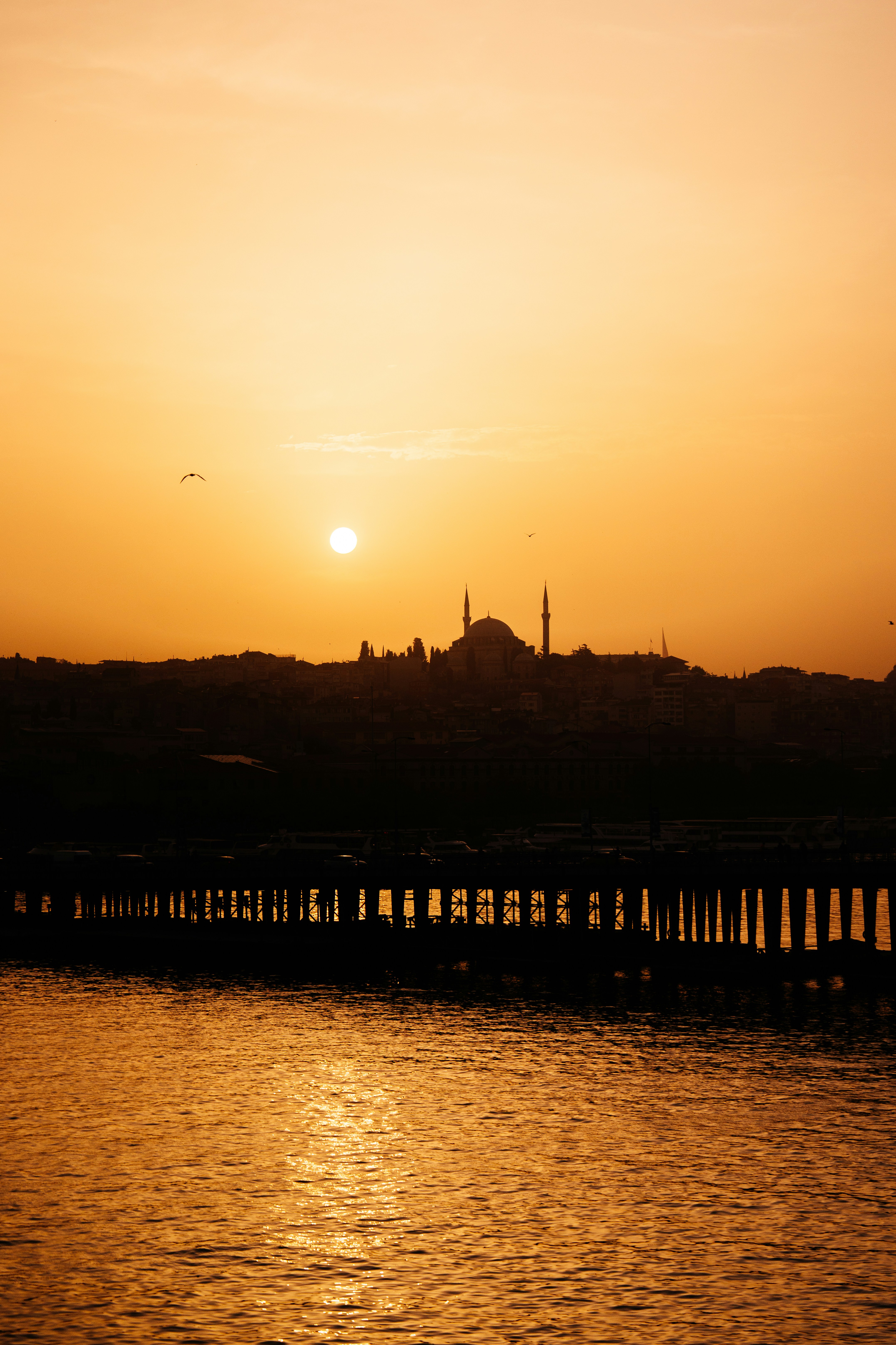 Photo by mutecevvil