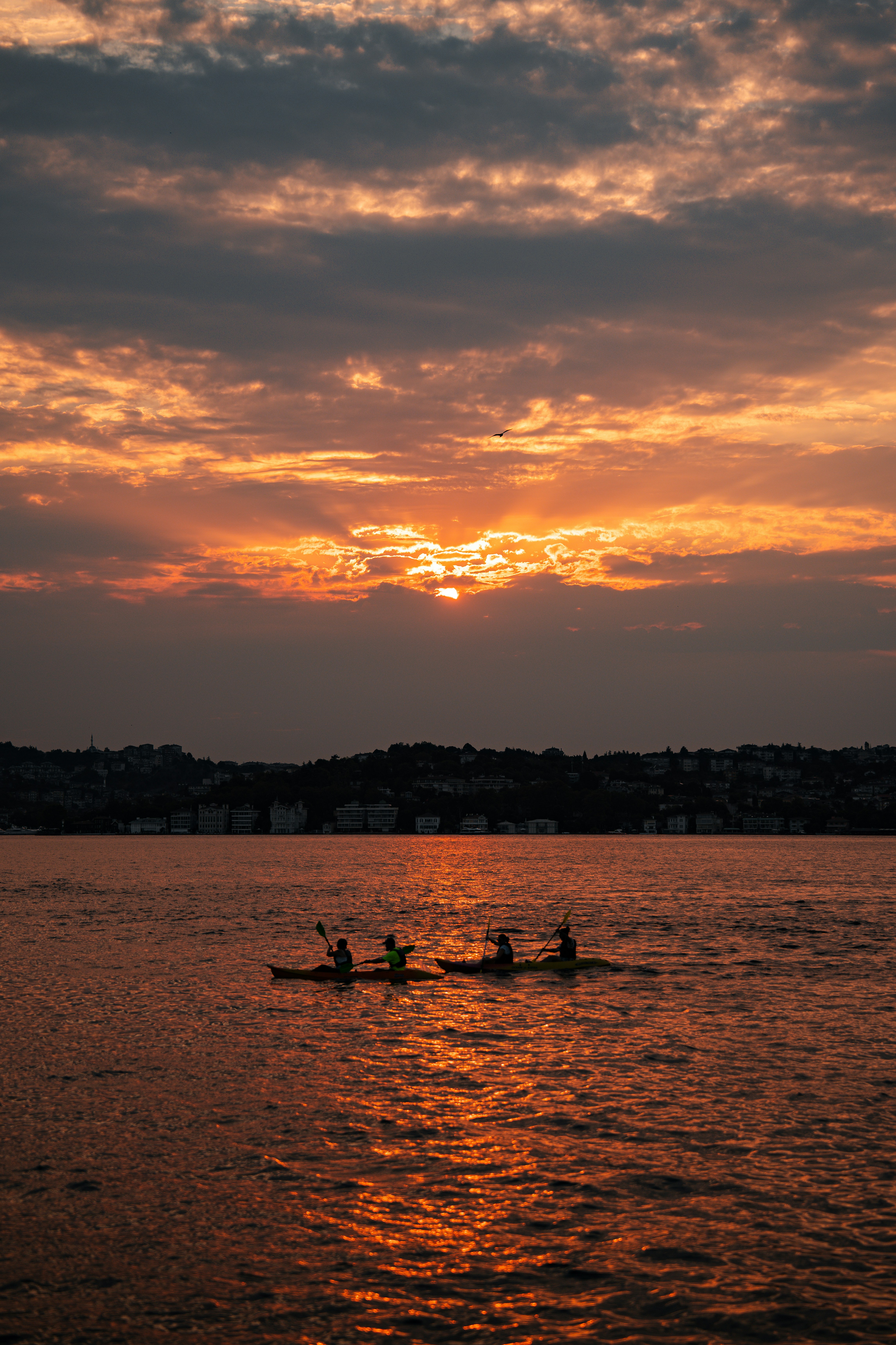 Photo by mutecevvil