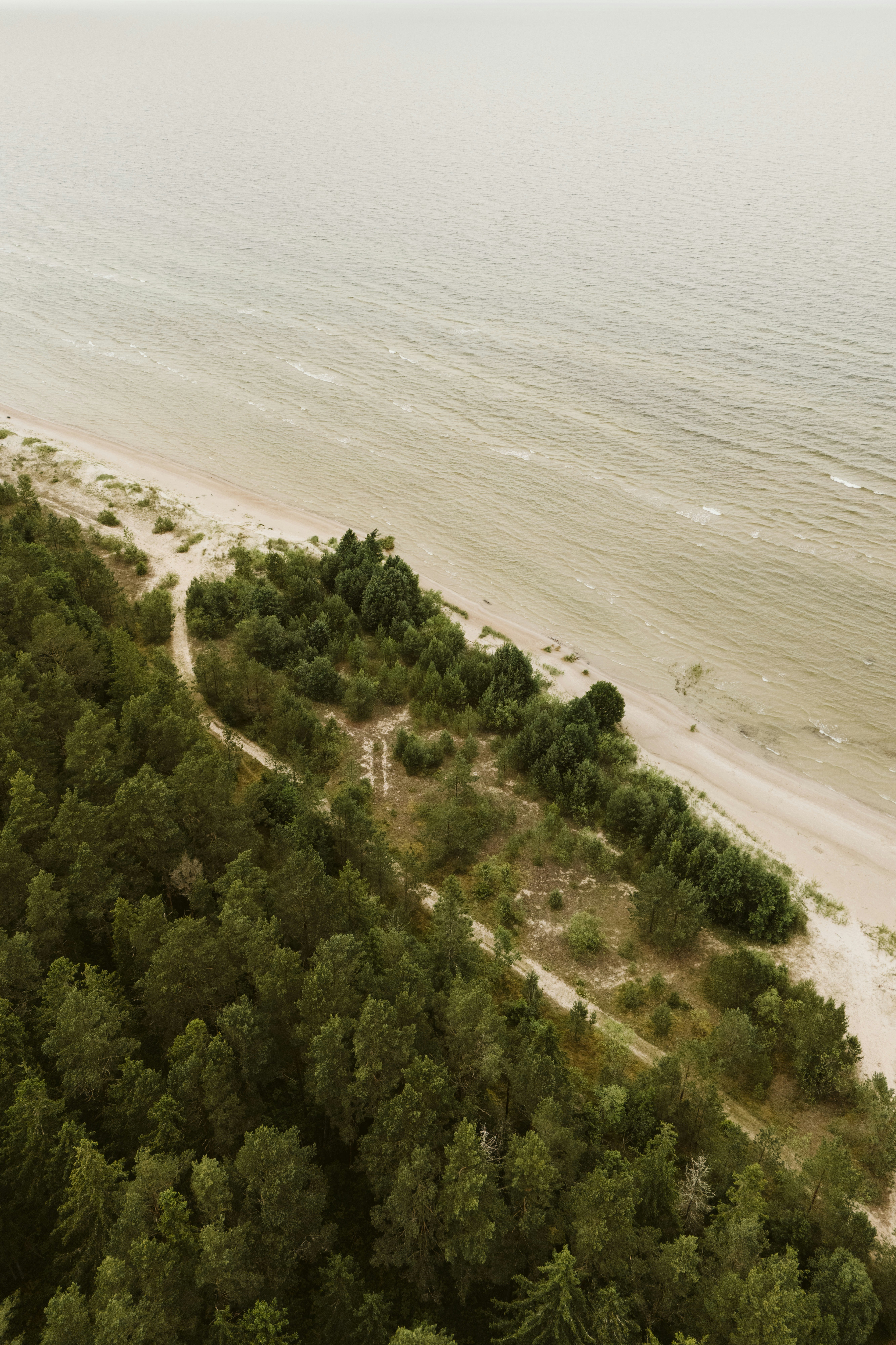 Photo by vilkuaivars