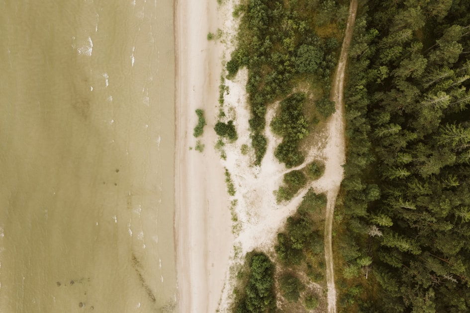Saaremaa Island by Car: The Complete Self-Drive Guide - Estonia guide