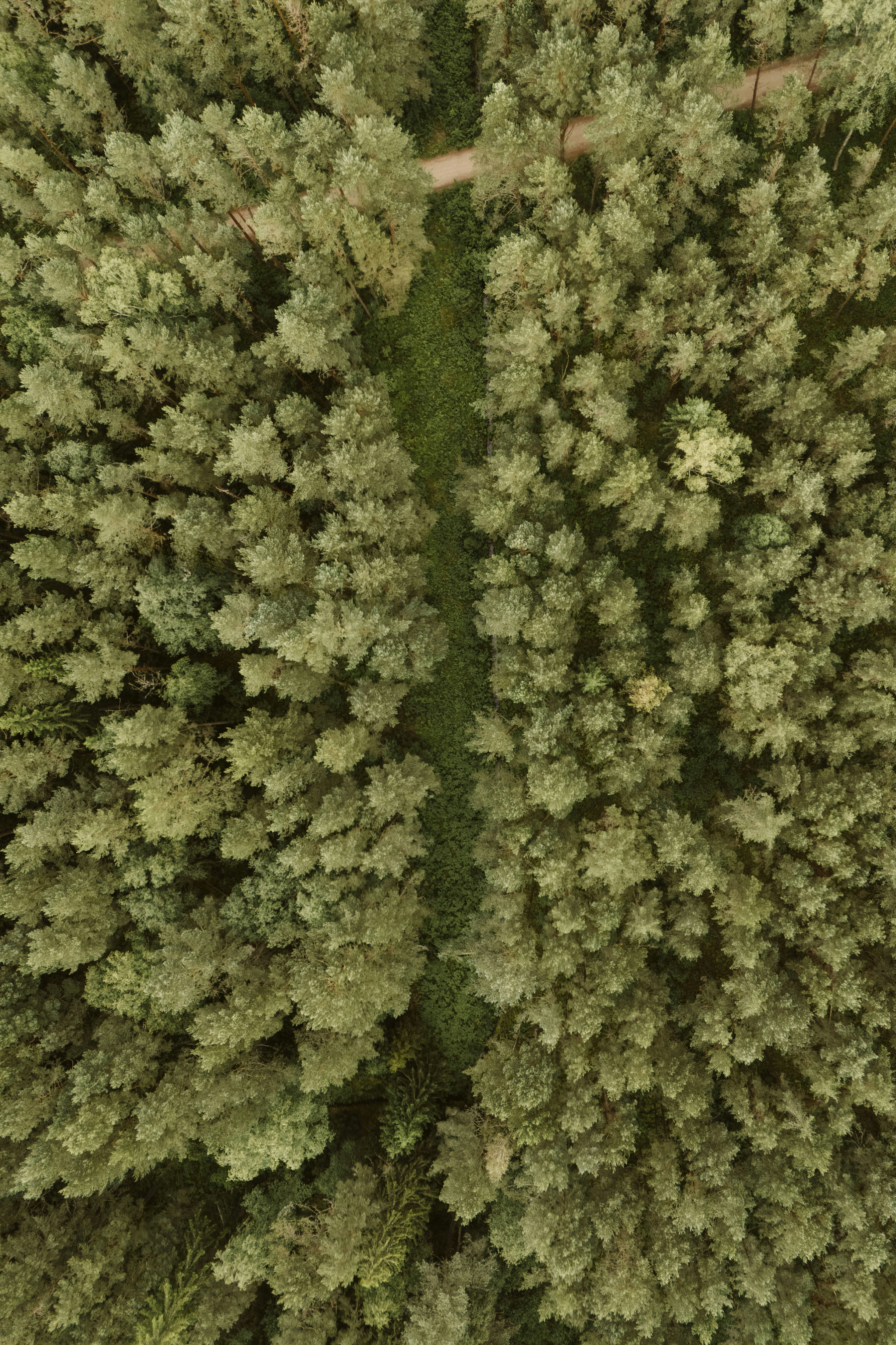 Photo by vilkuaivars