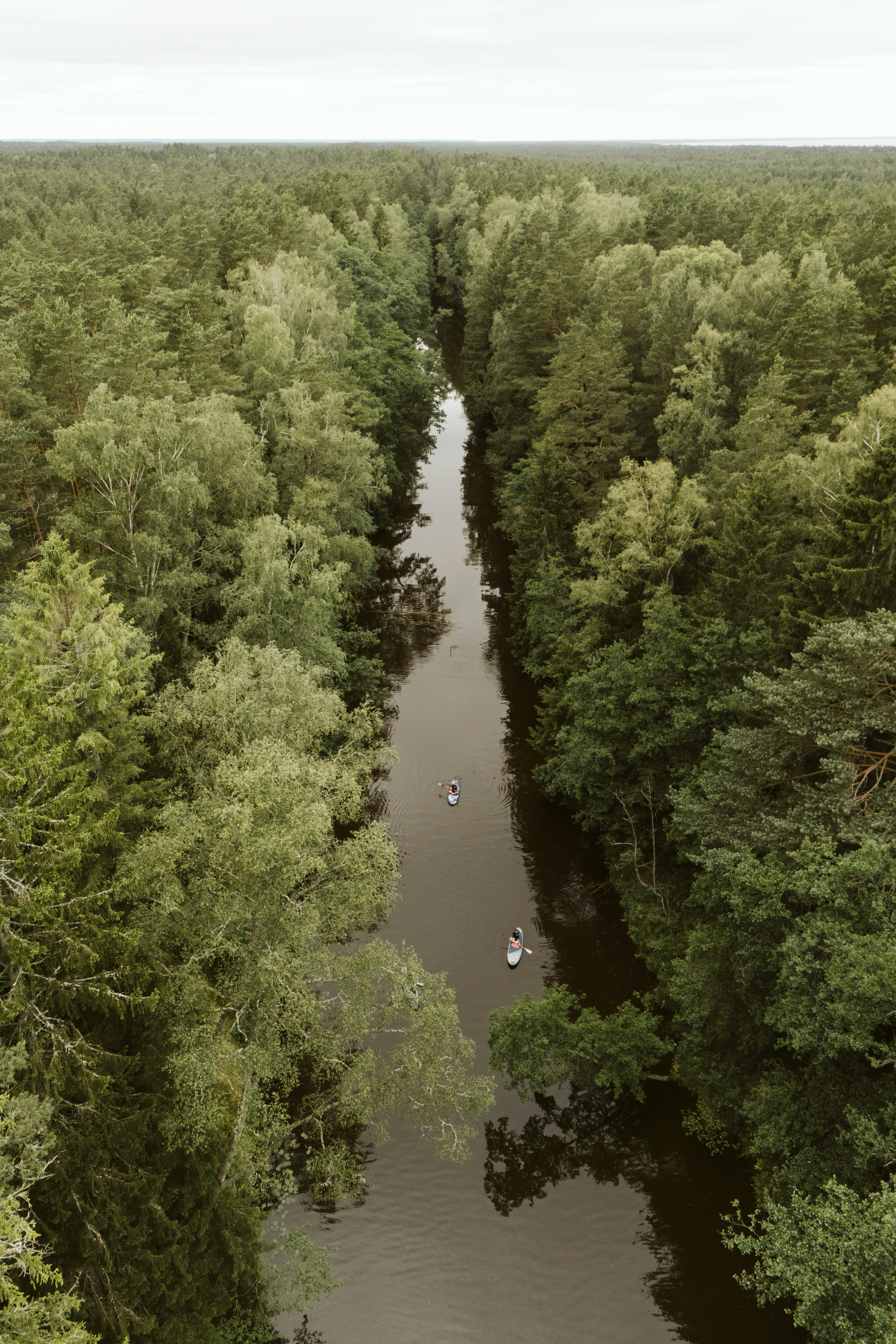 Photo by vilkuaivars