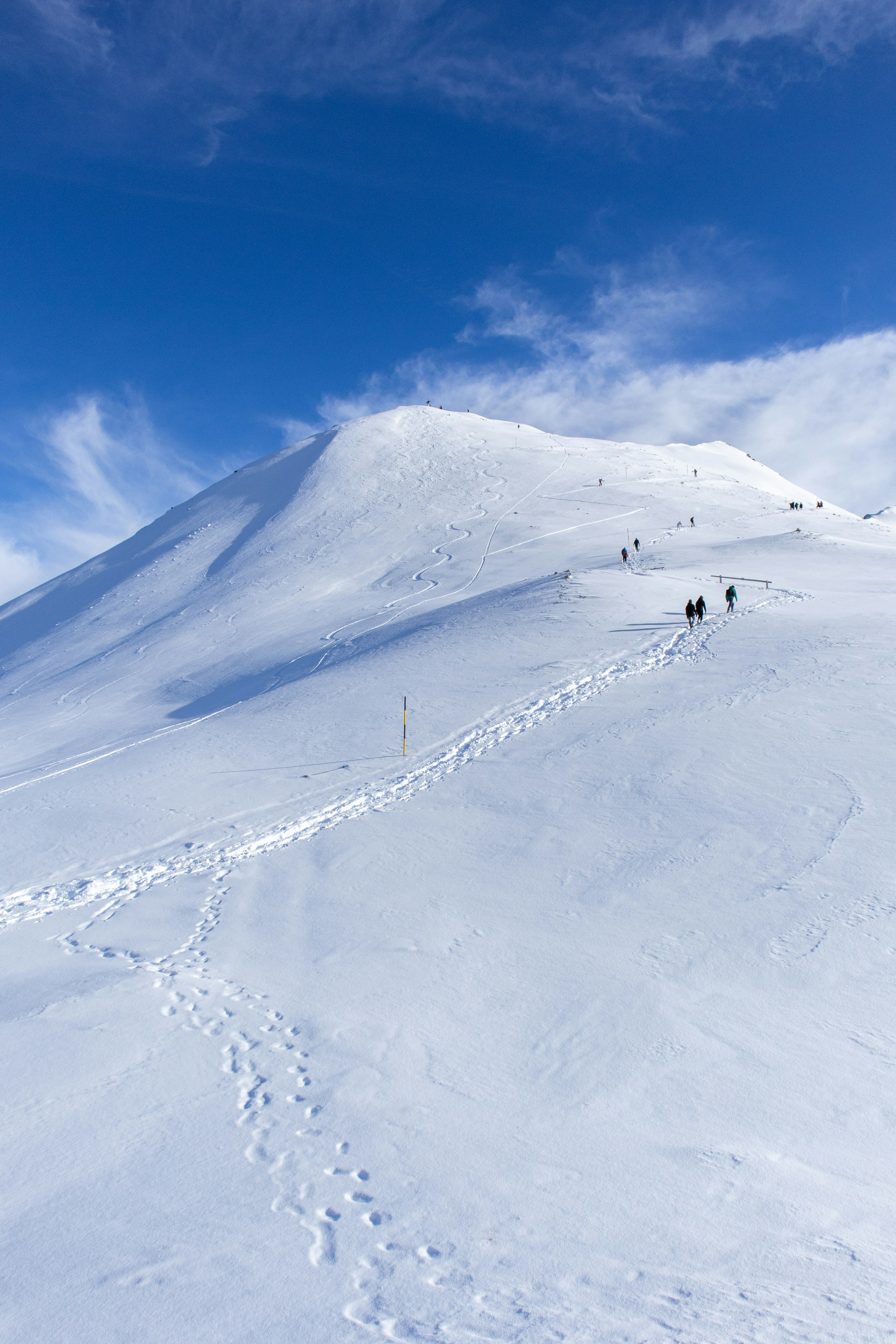 Photo by davidfucsku