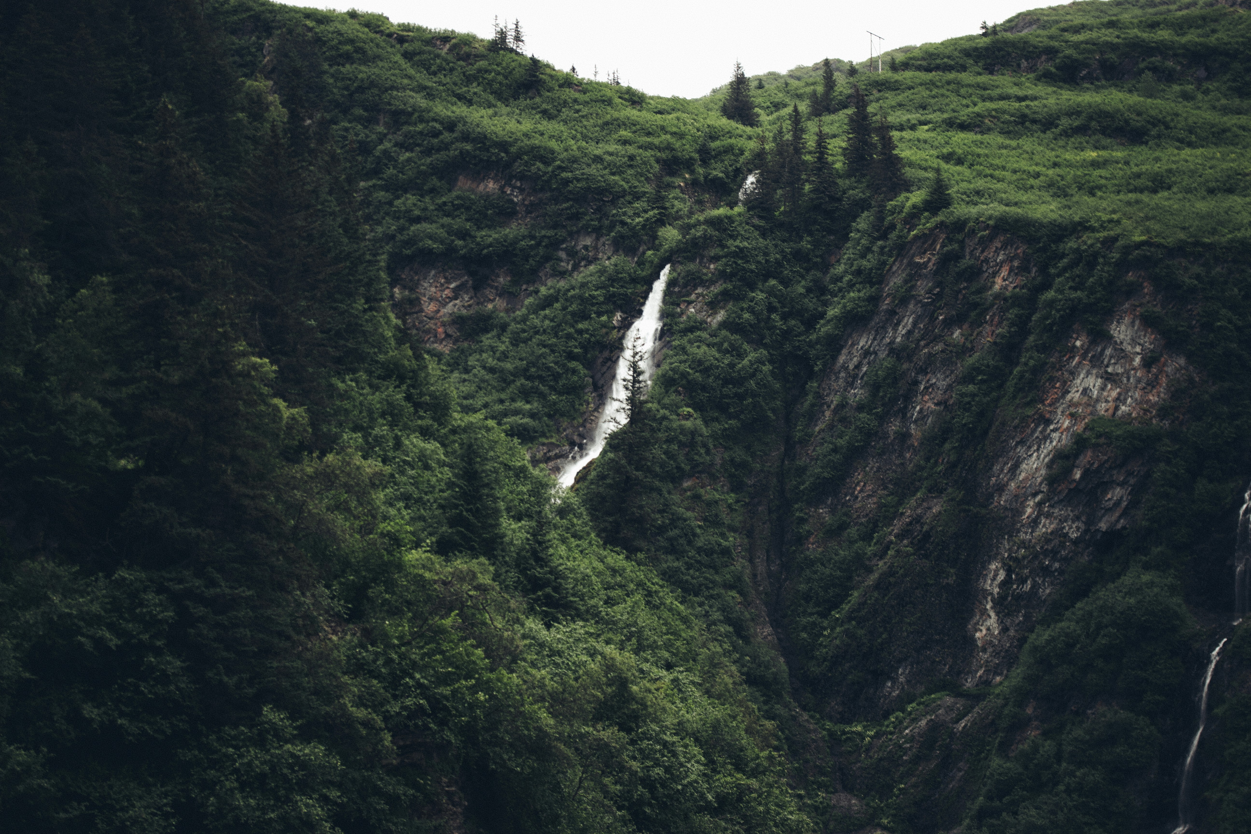 Photo by fickesphotos