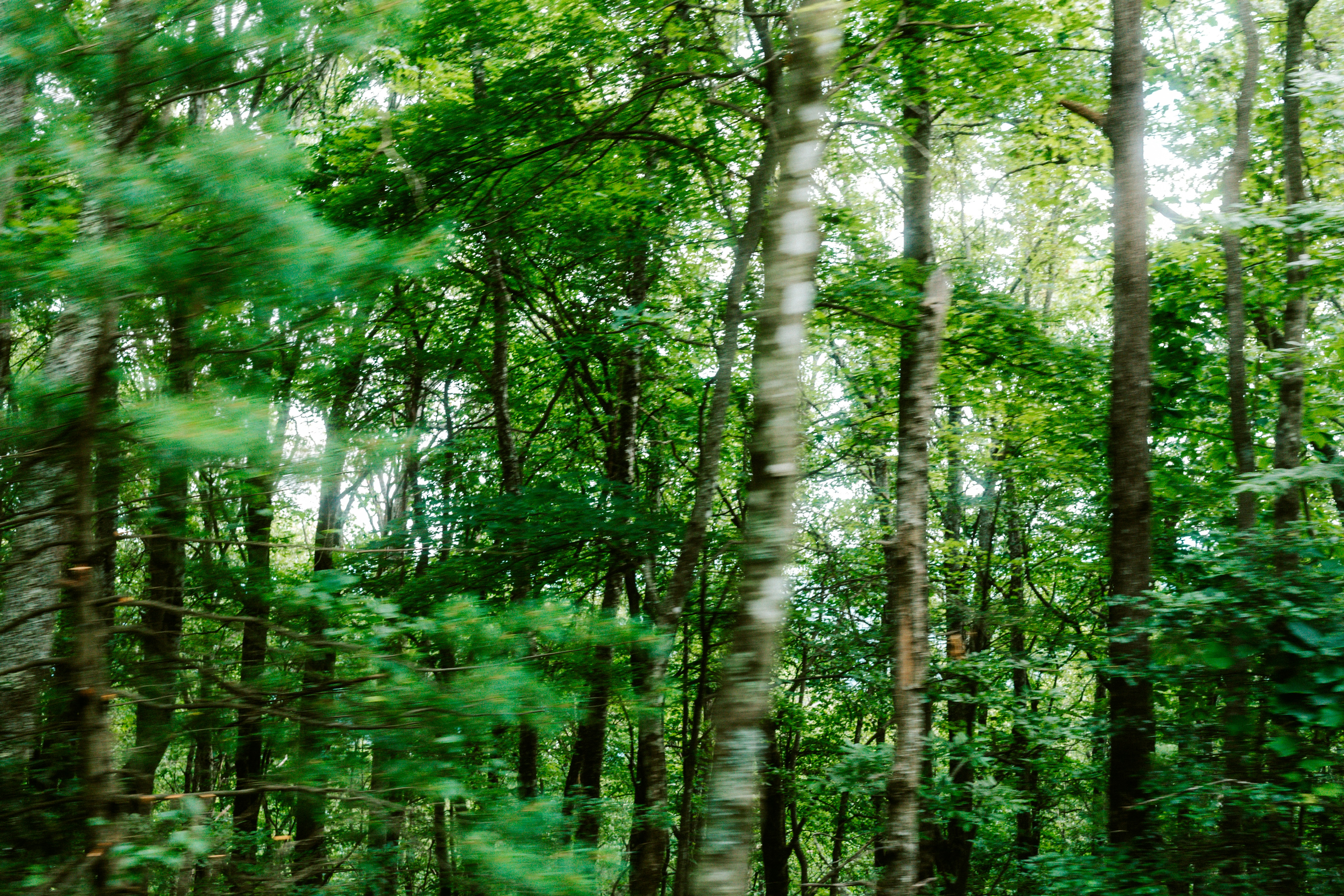 Photo by brookebalentine