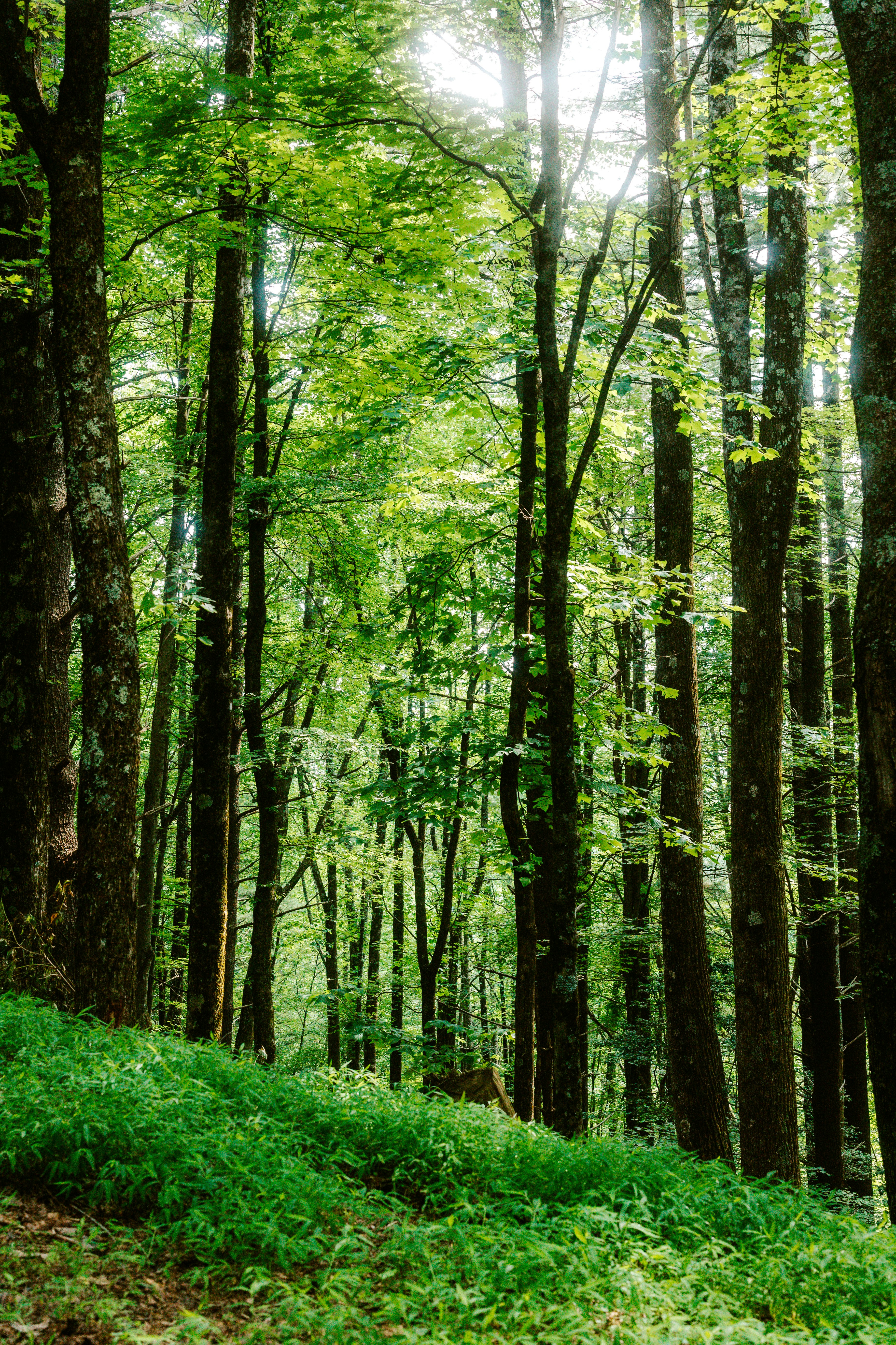 Photo by brookebalentine