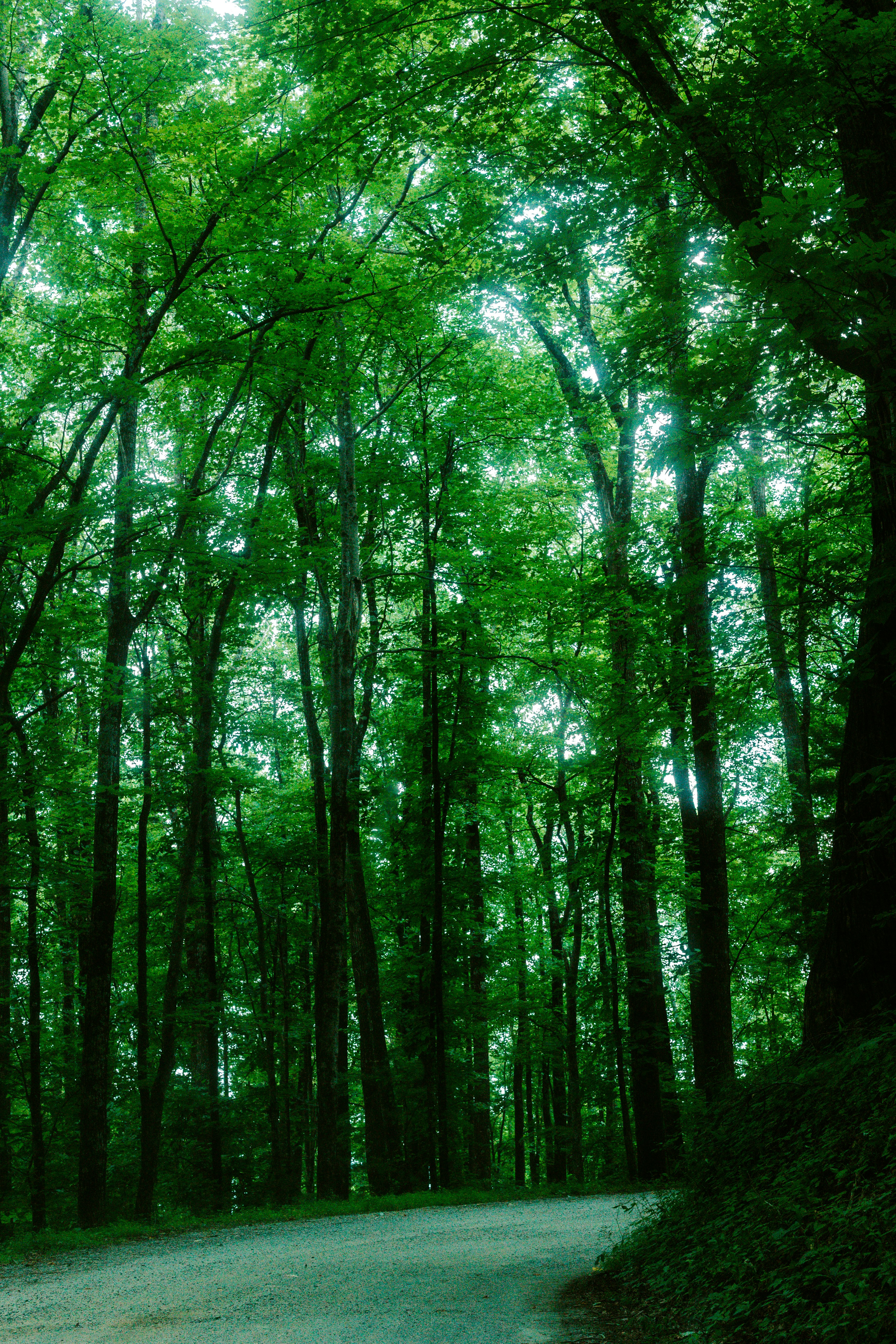 Photo by brookebalentine