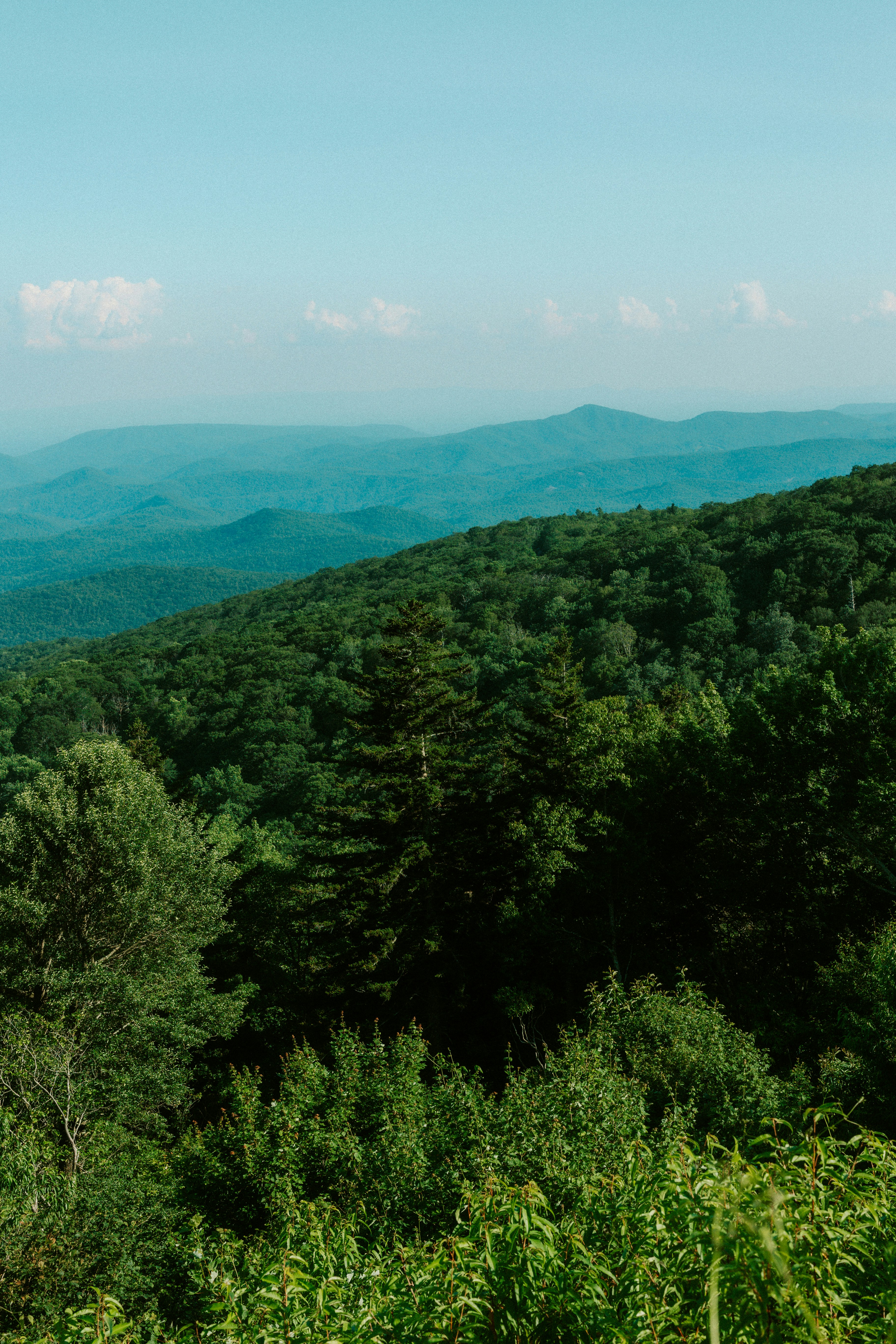 Photo by brookebalentine