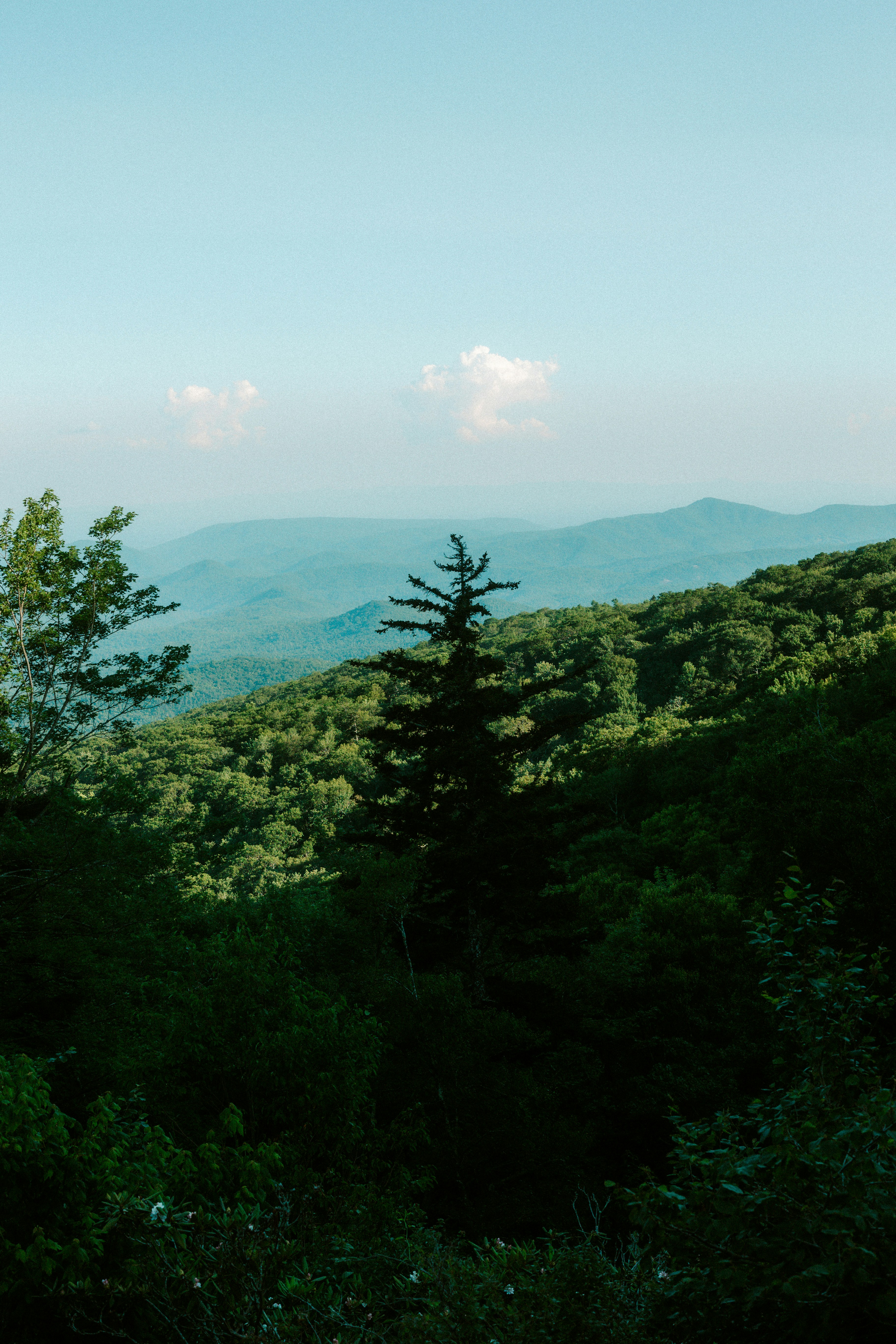 Photo by brookebalentine