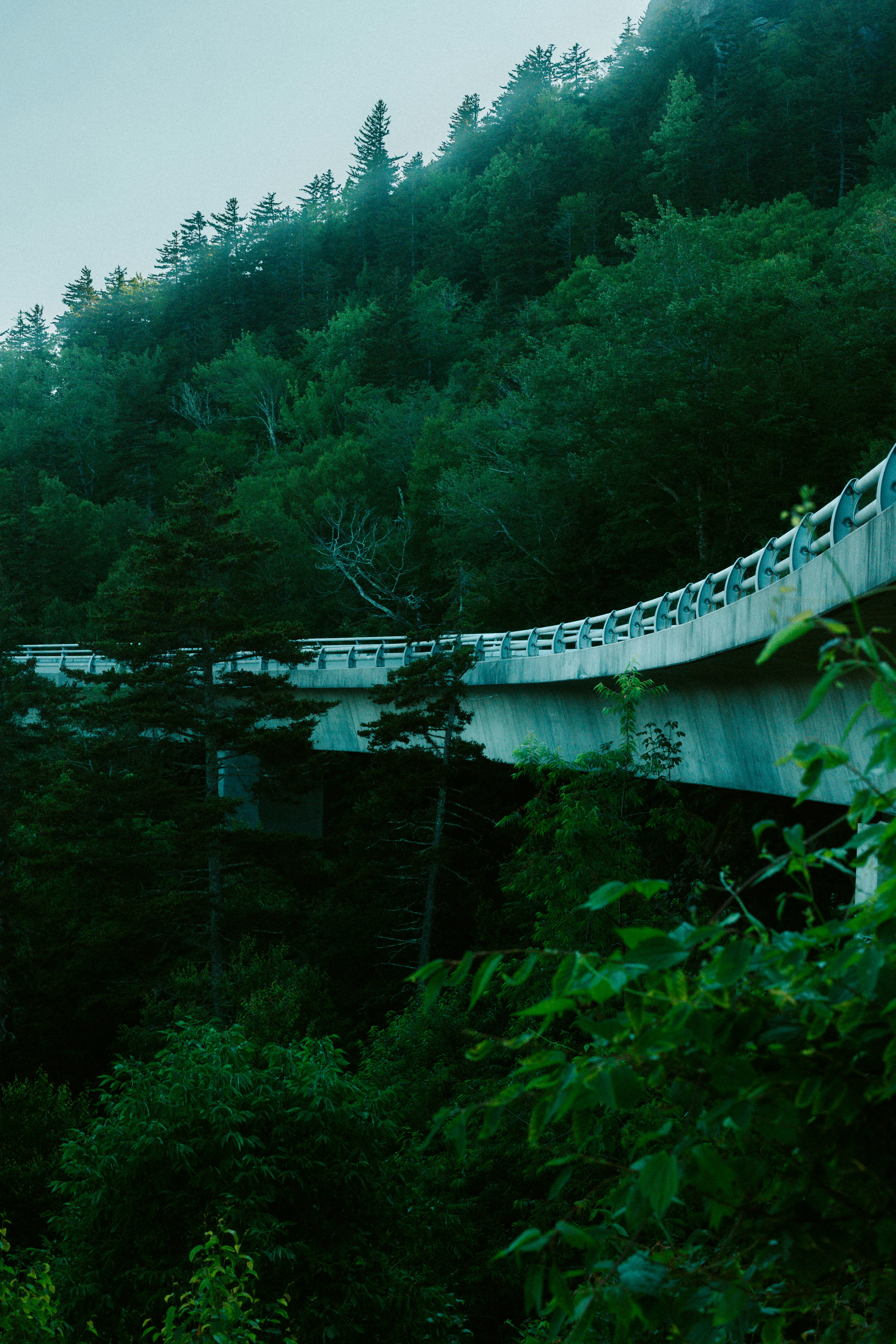 Photo by brookebalentine