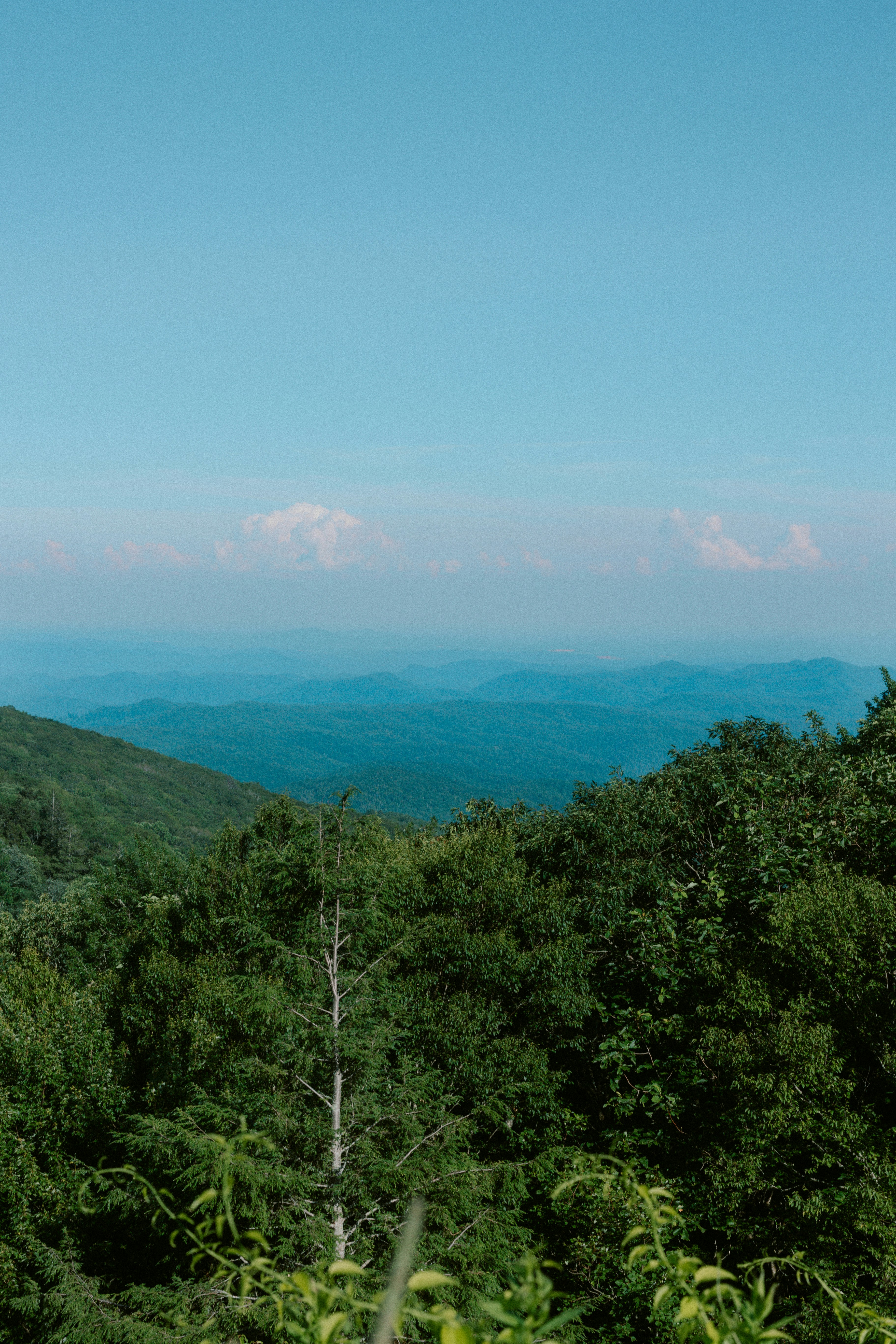 Photo by brookebalentine