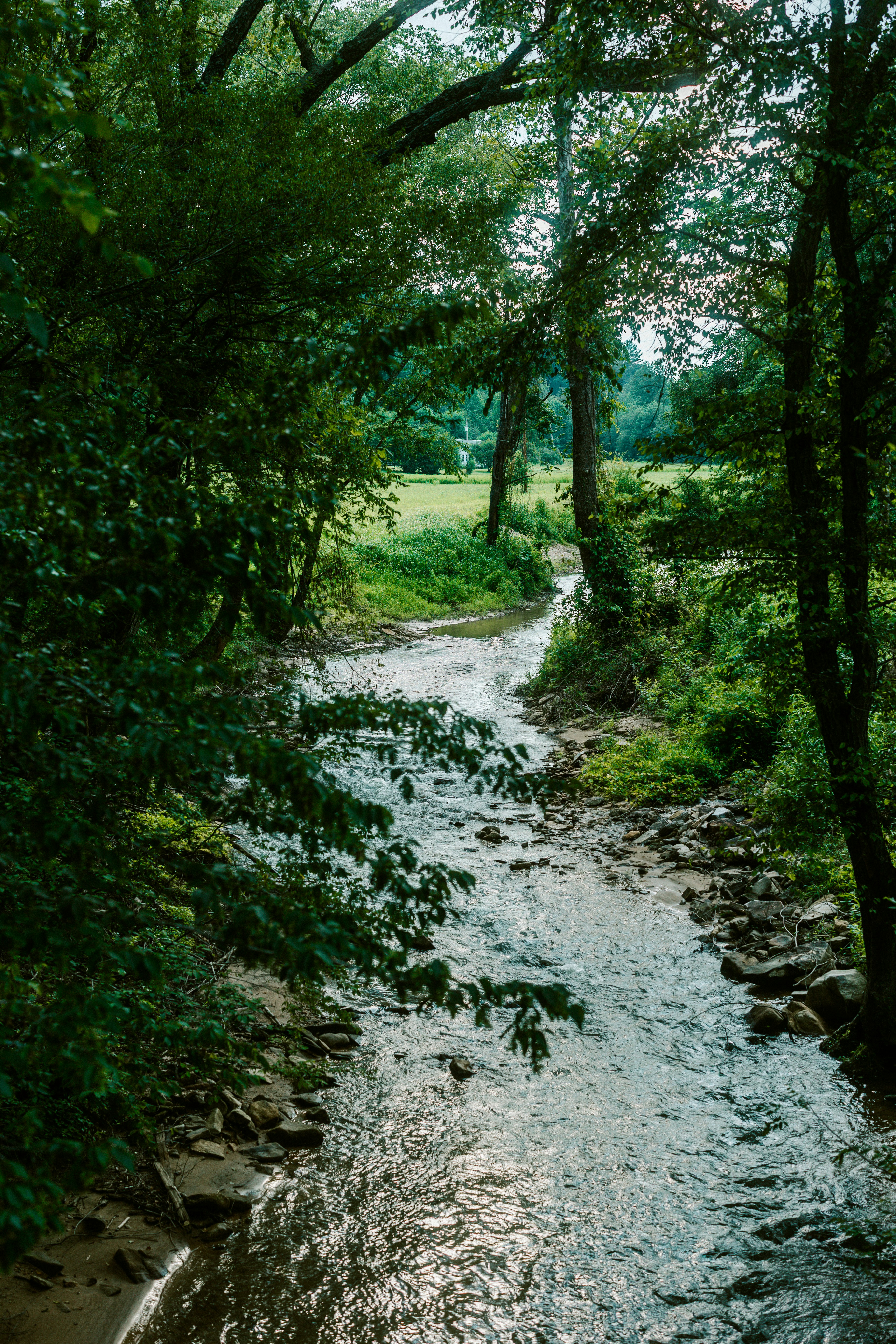 Photo by brookebalentine