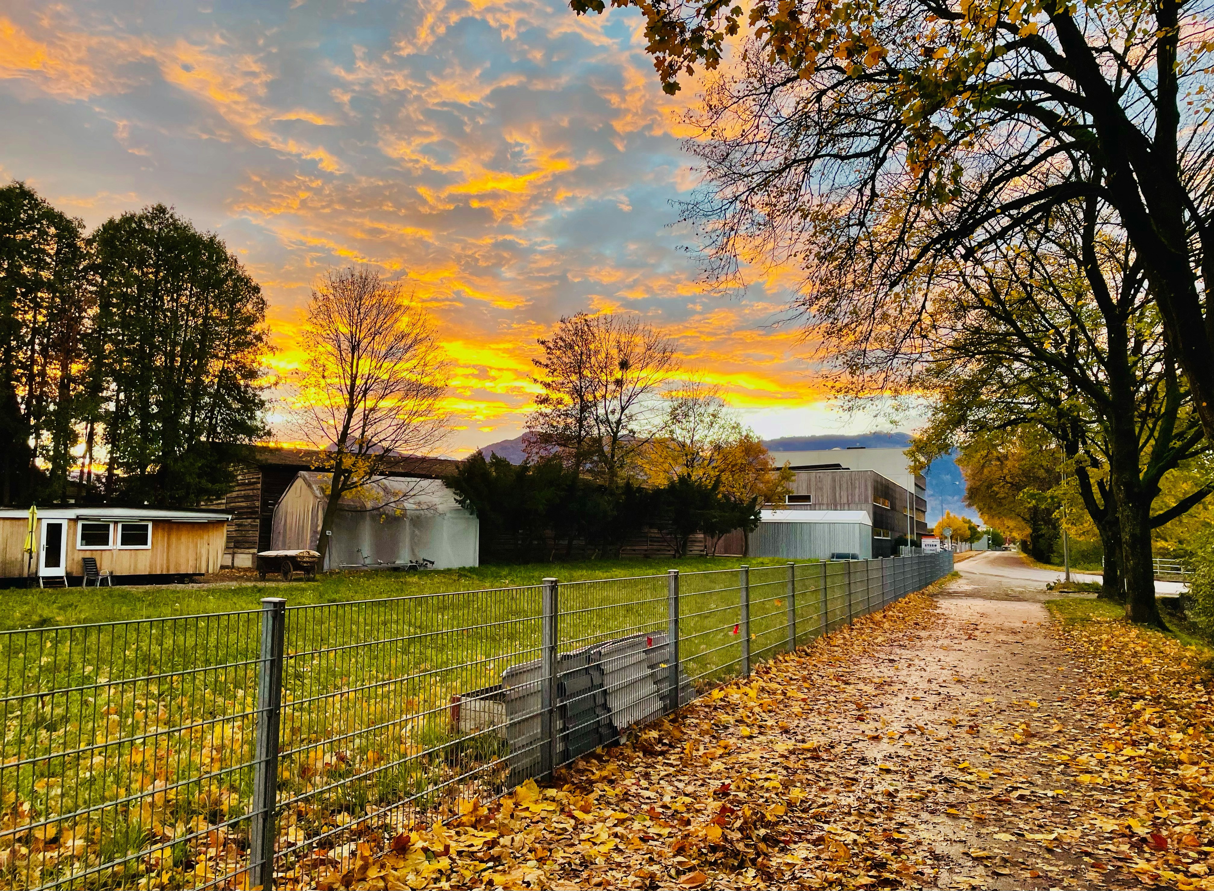 Autumn sunset bathes the landscape in golden hues.