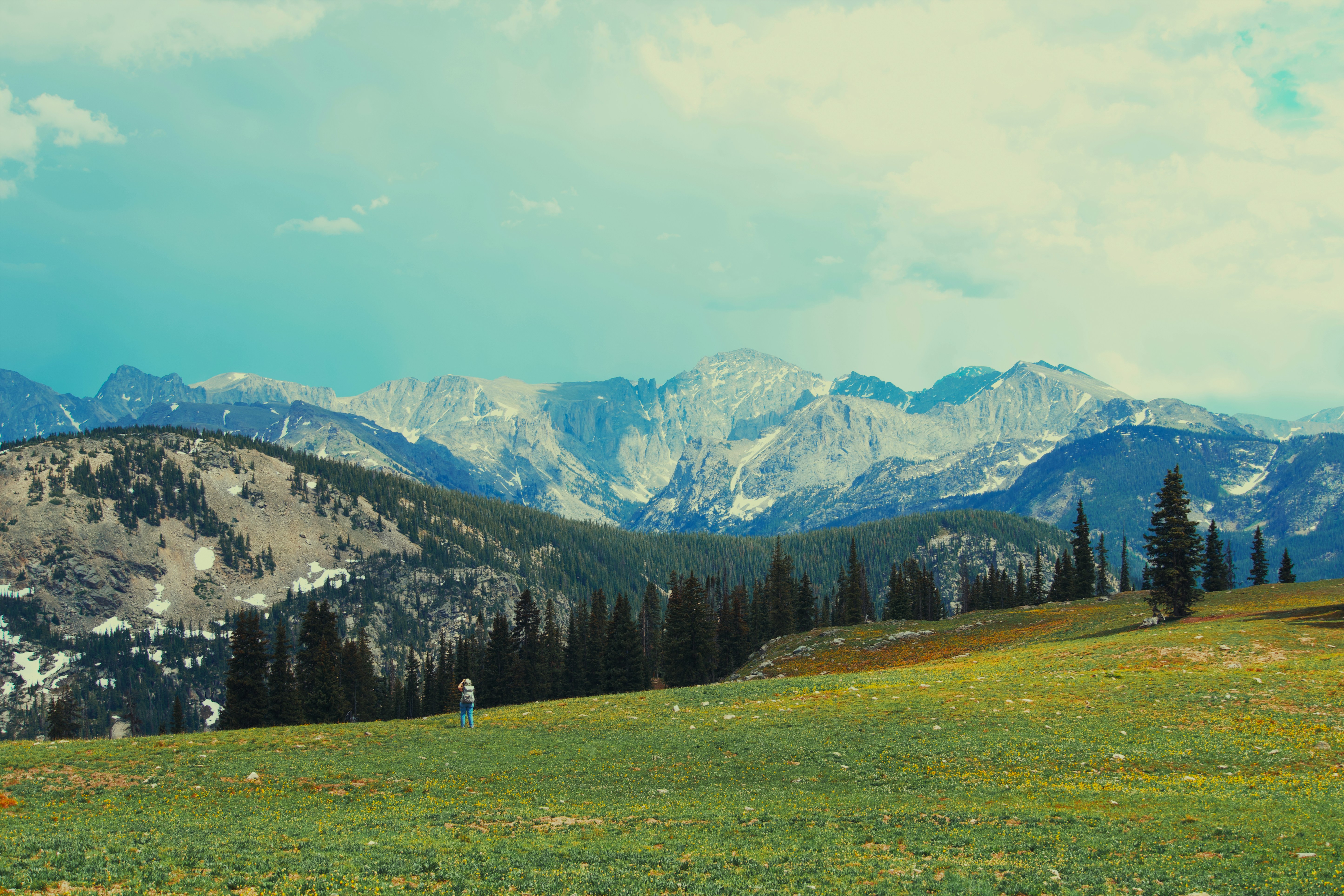 Photo by jaspergribble