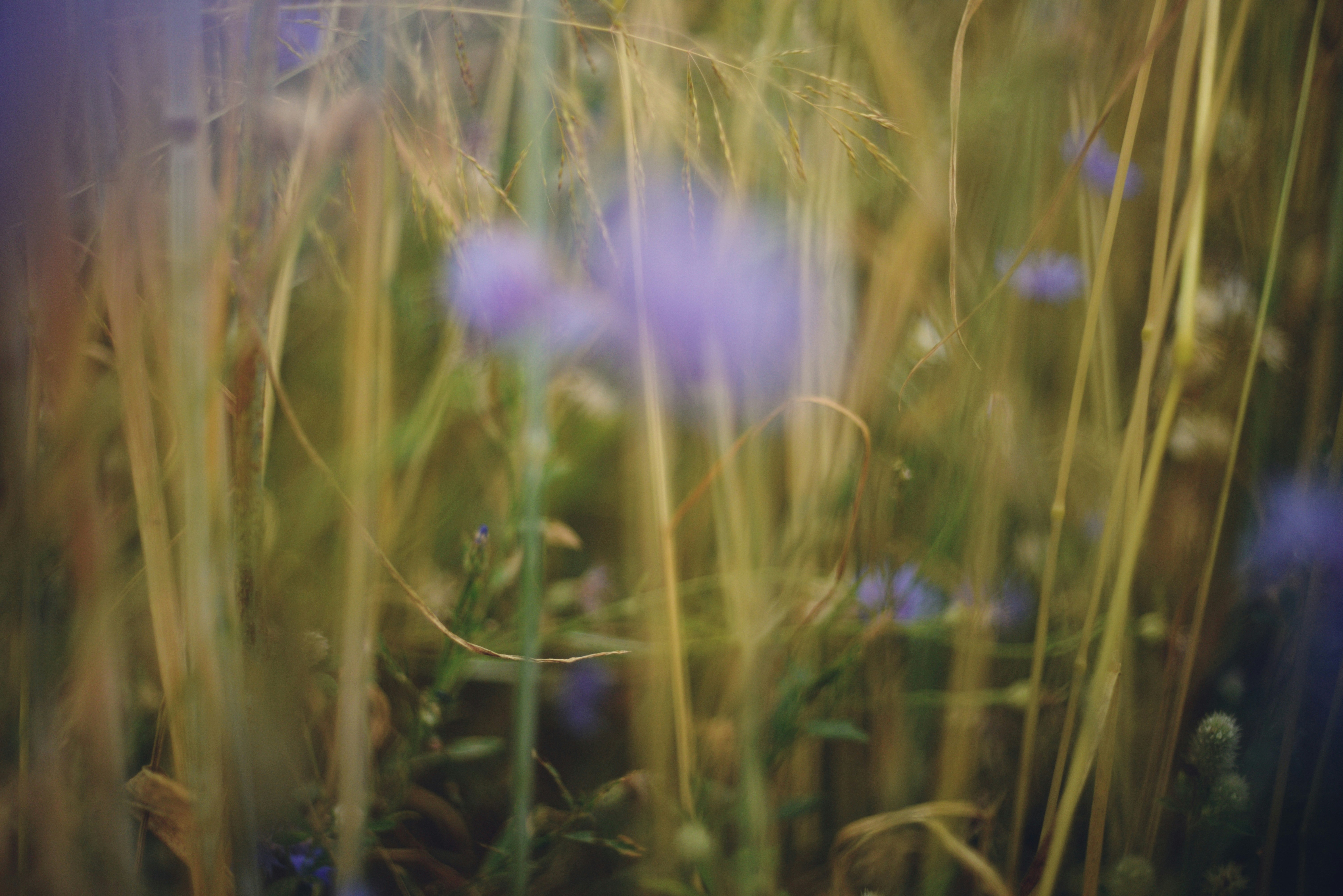 Photo by cherstve_pechivo