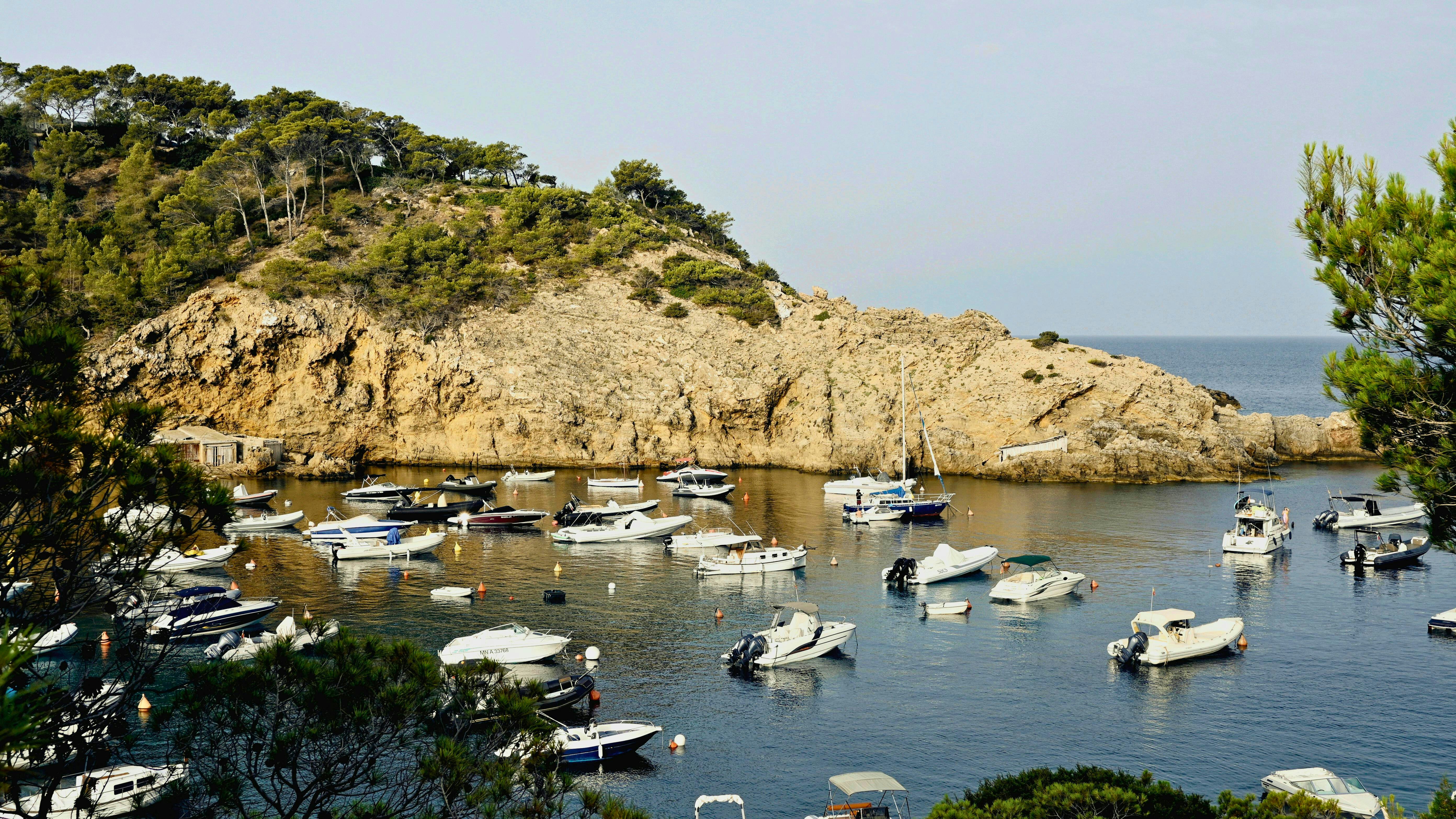 Photo by jdchristian