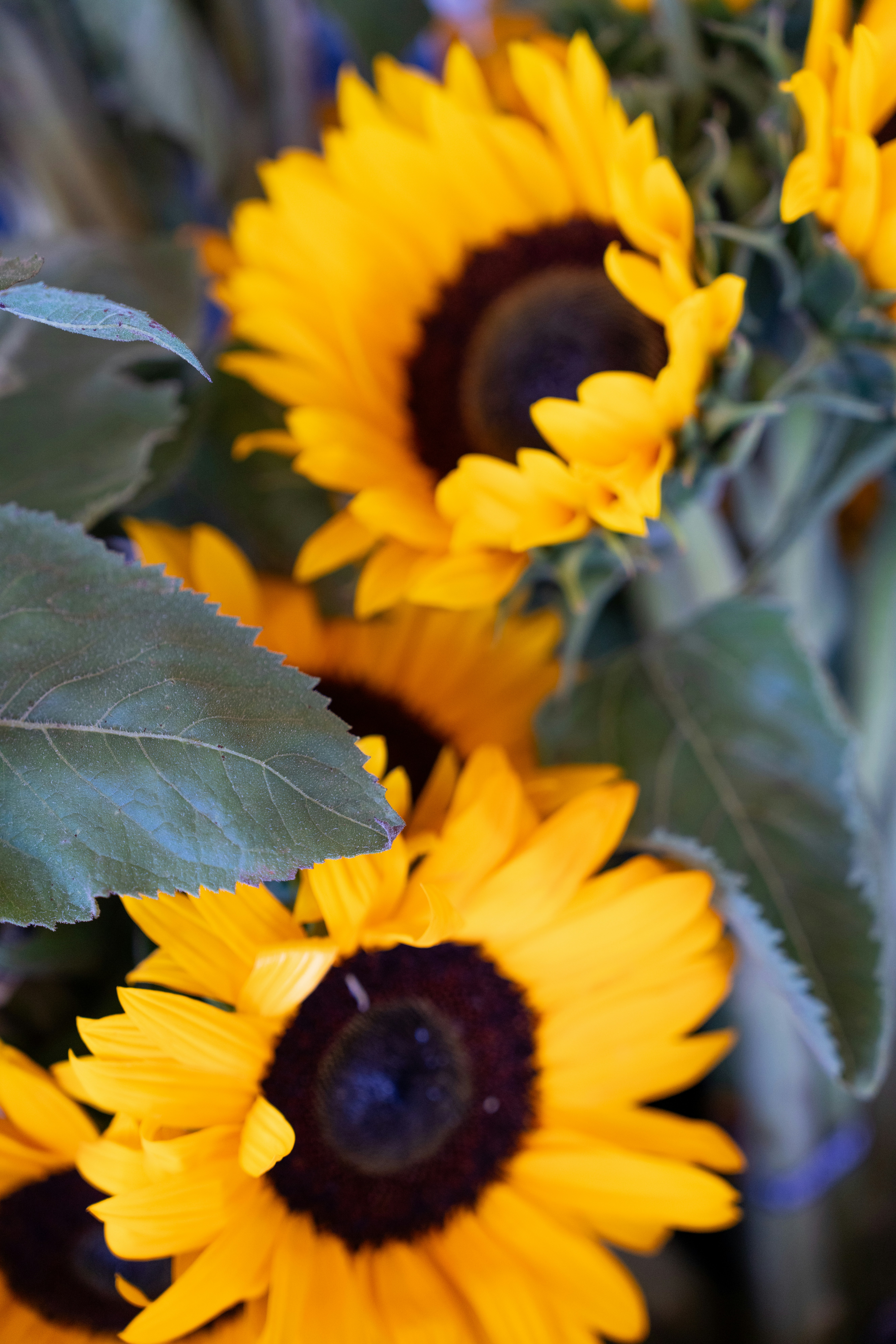 Photo by busybeeandgreentea