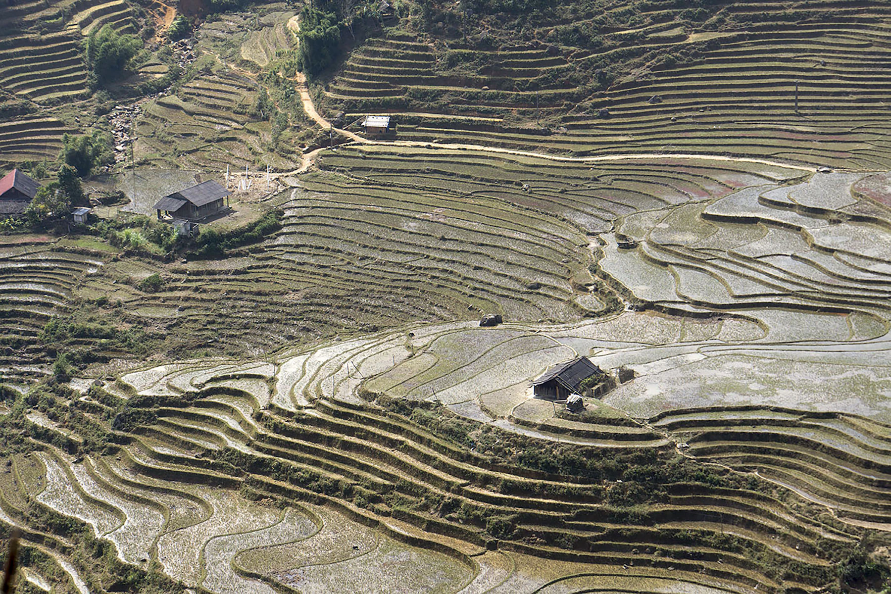 Terraced rice fields and small houses in the mountains around Sapa, Vietnam