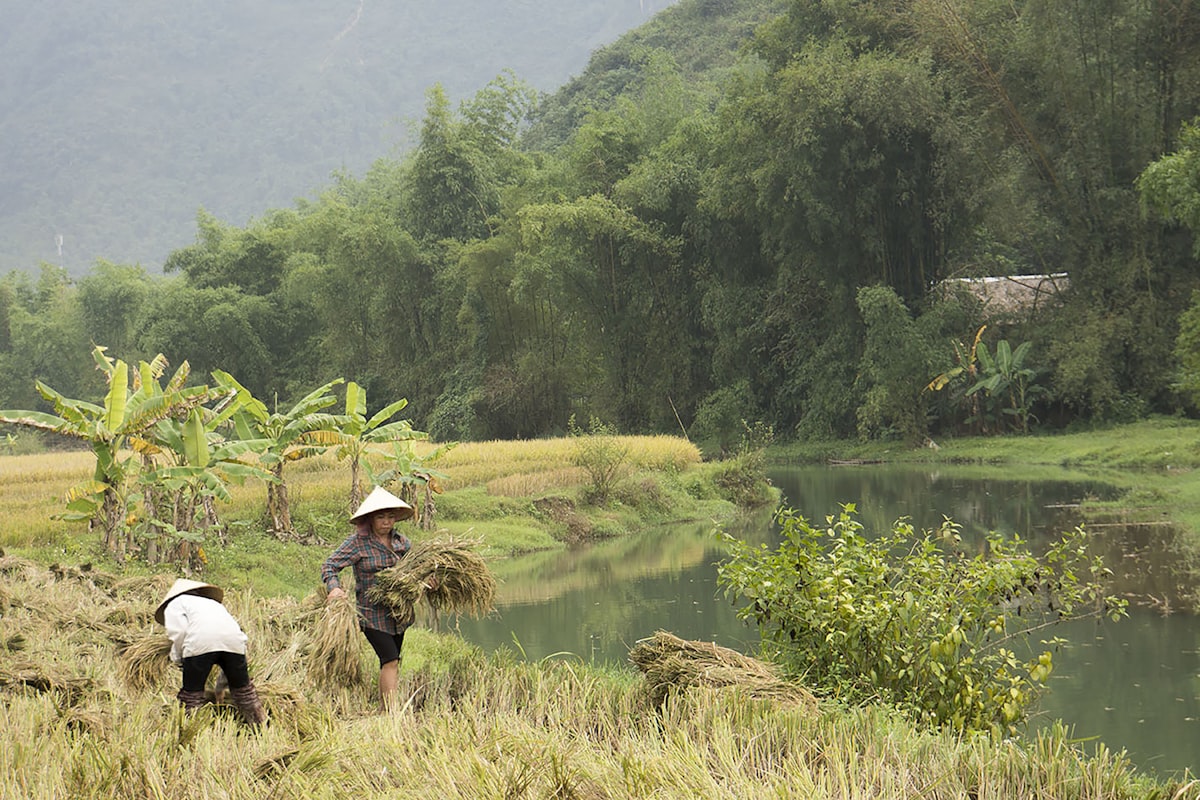 Mai Chau Day Trip