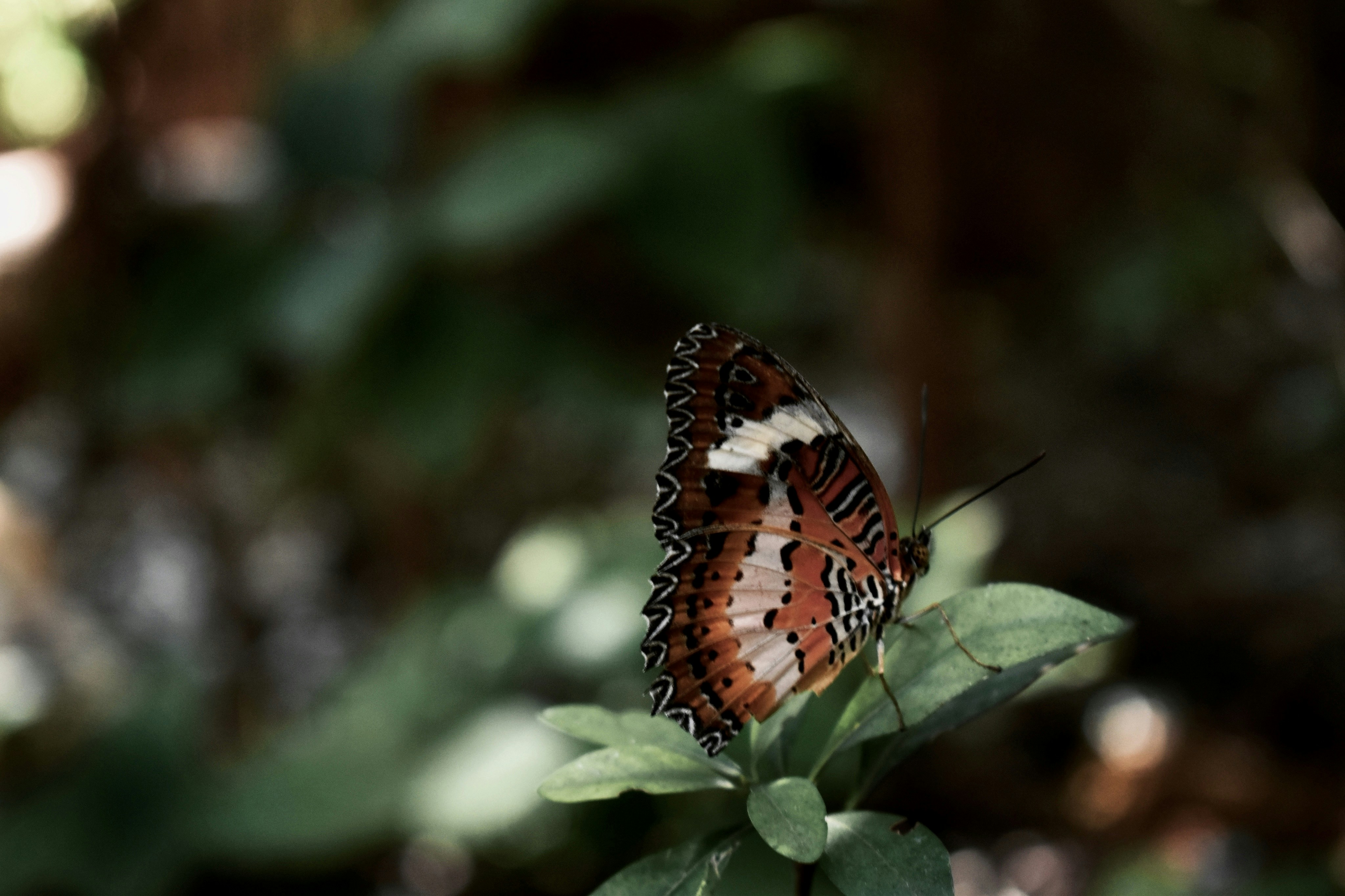 Photo by salazarprecy