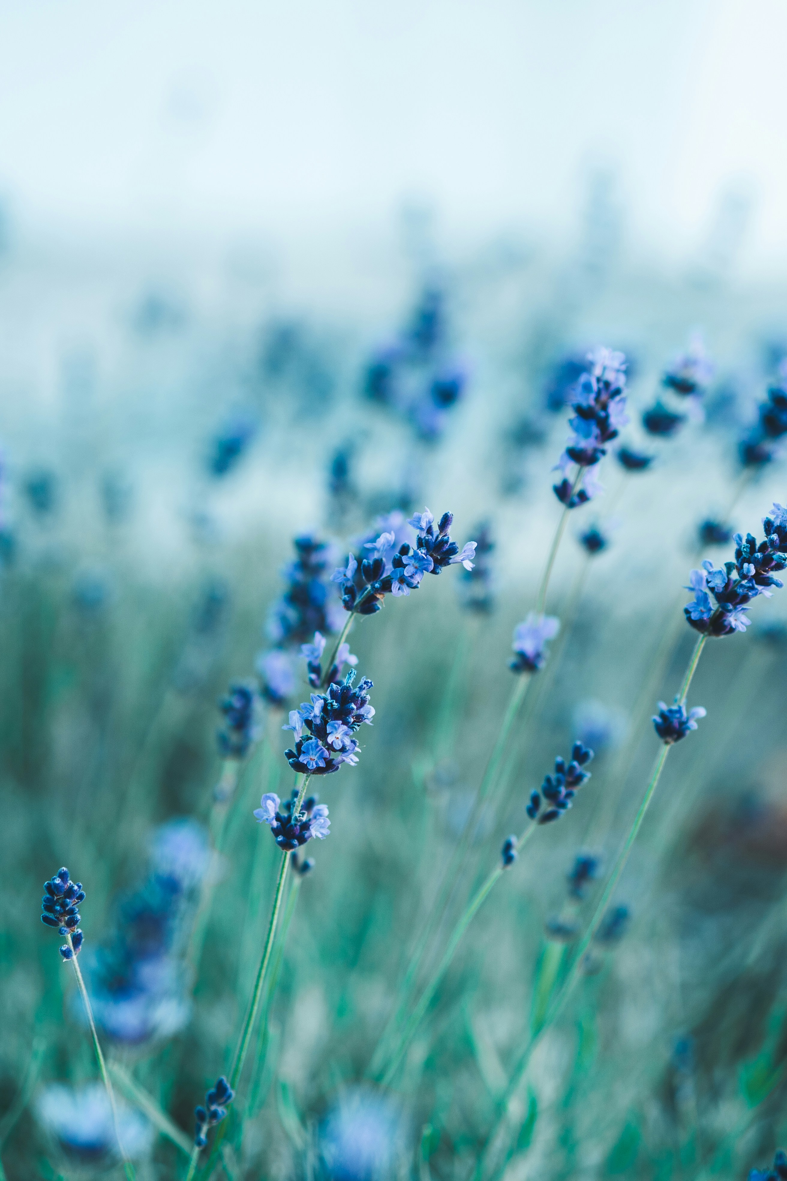 Photo by anamnesis33