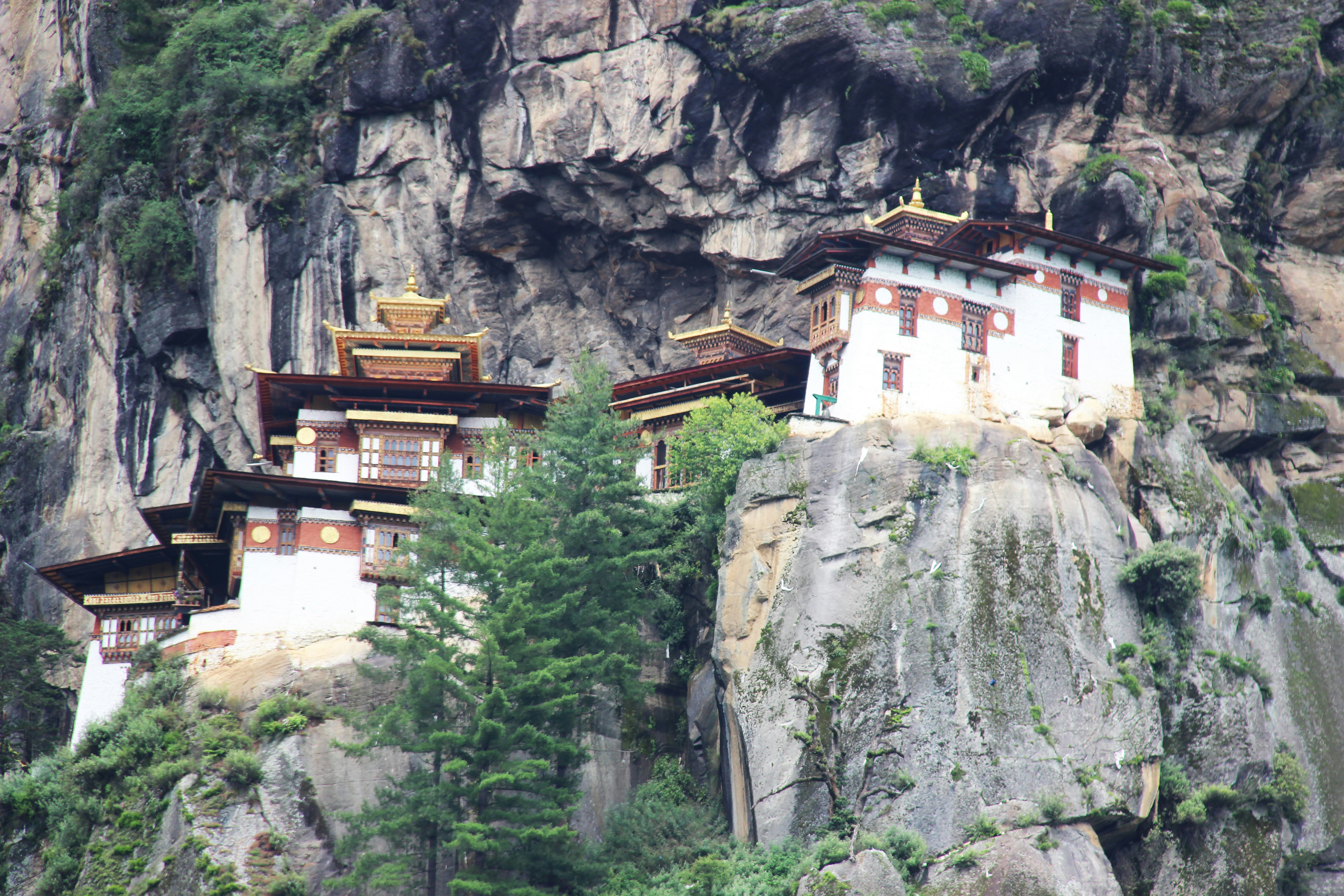 A monastery is perched on a rocky cliffside.