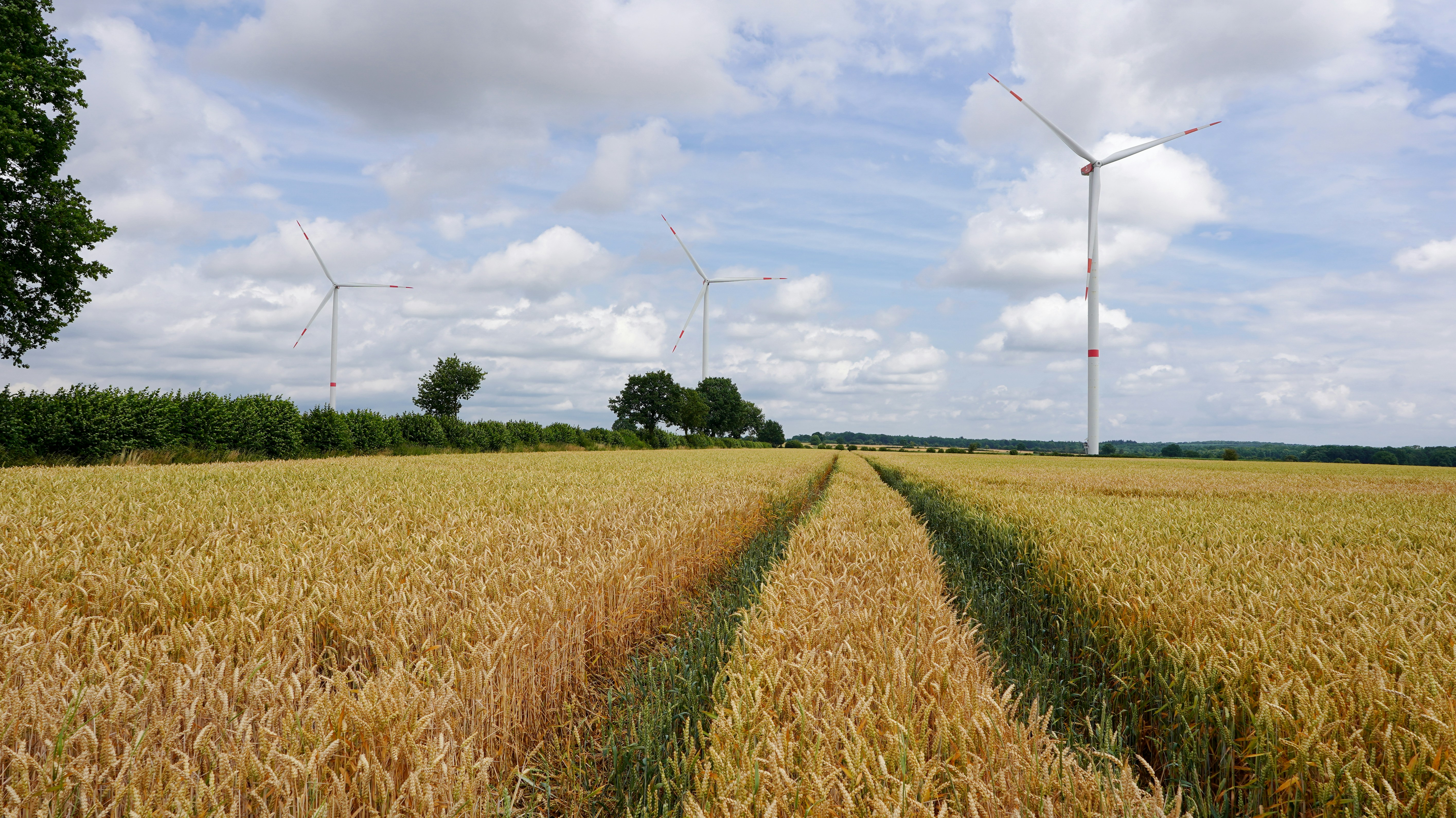 スマート農業で電力使用量は？IoT・AI導入の消費電力関連画像