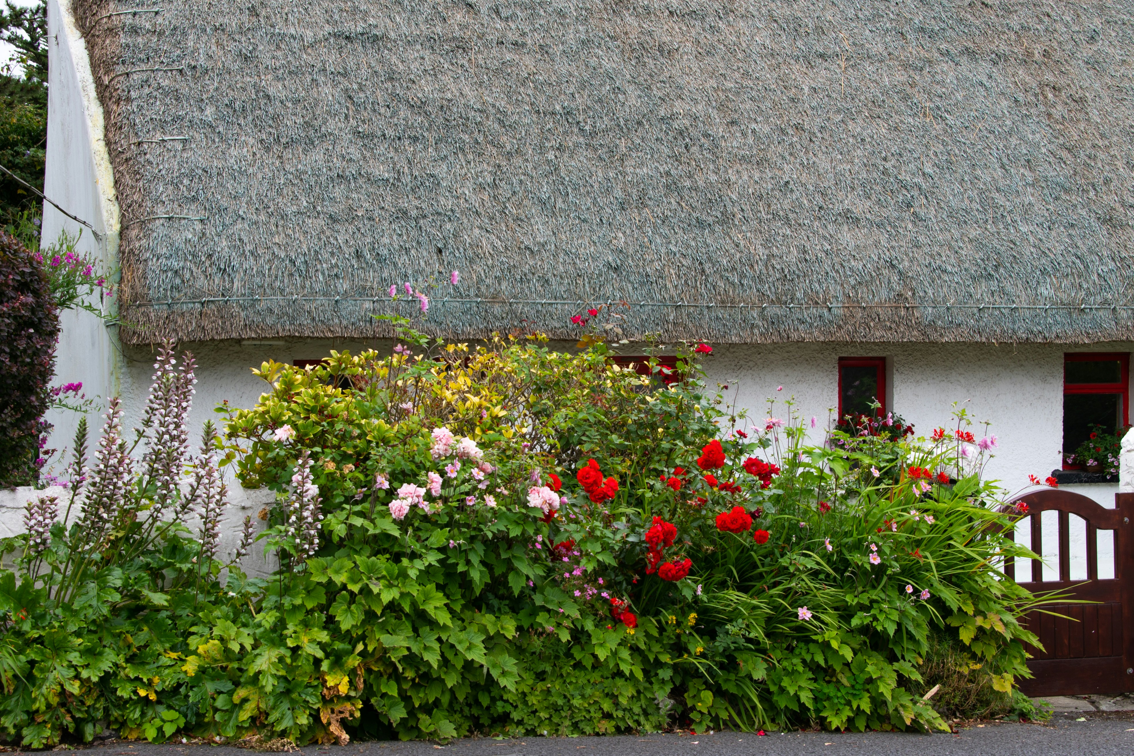 Photo by karl3kirstin