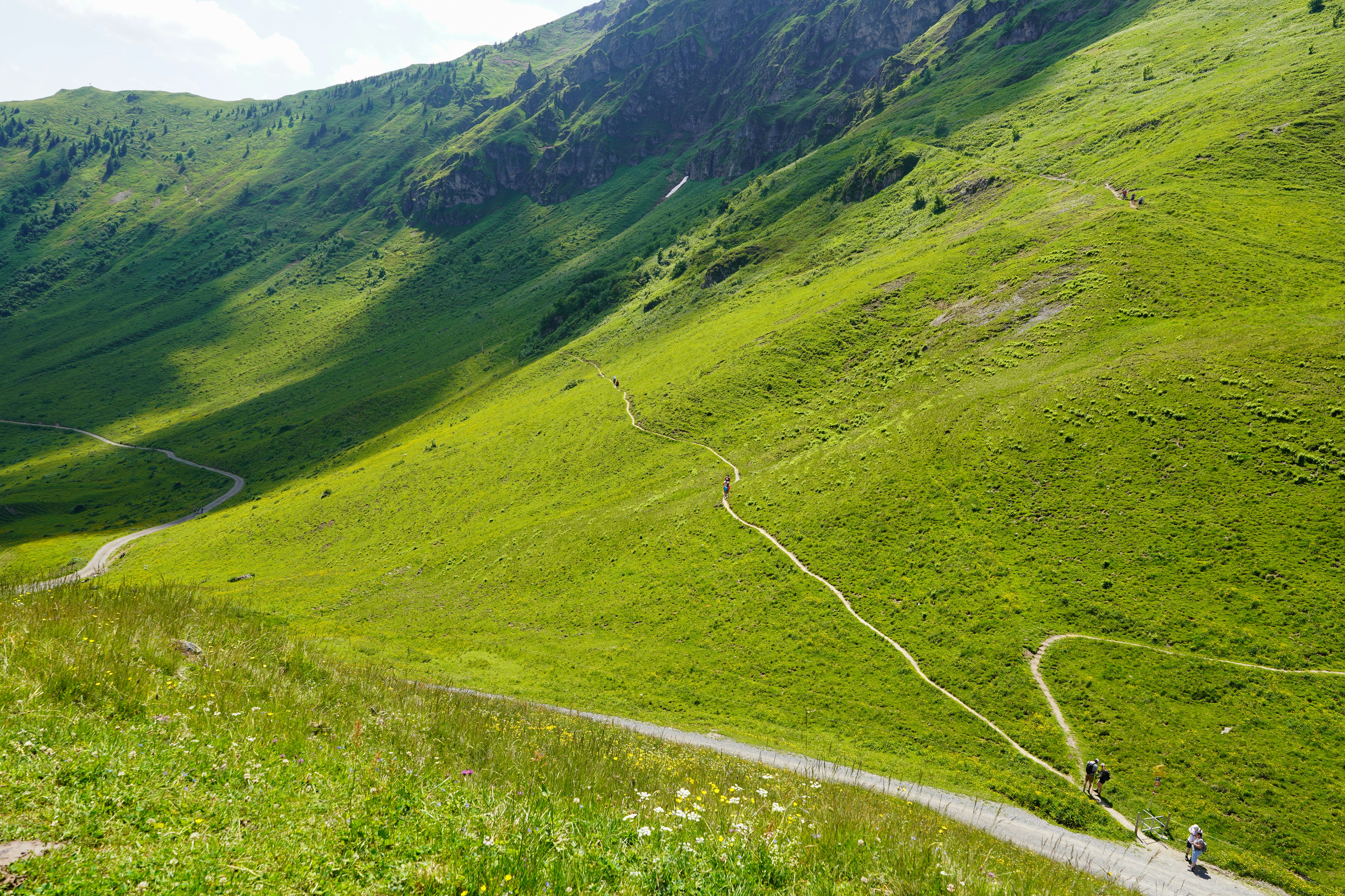 Photo by hamburgmeinefreundin