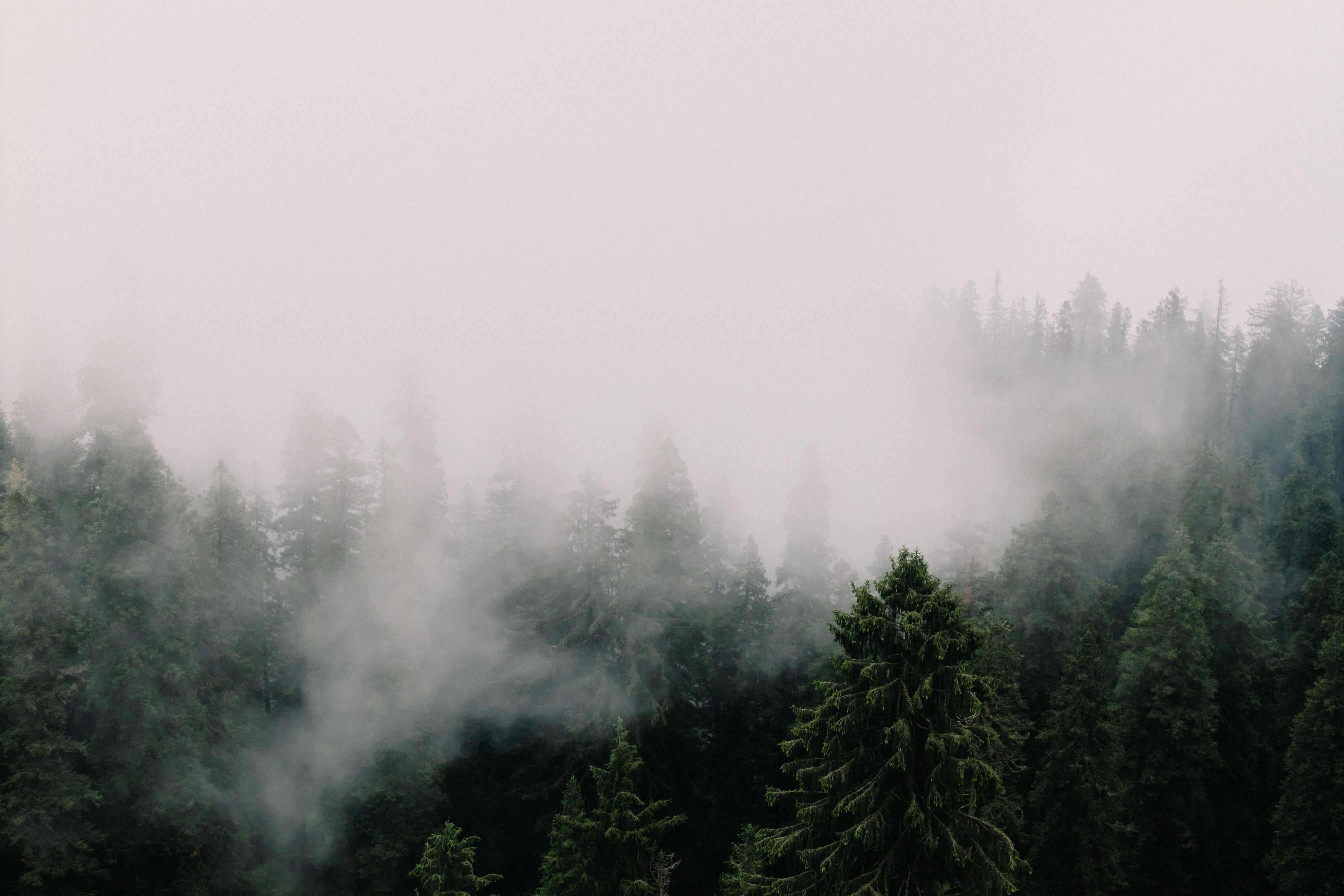 Photo by milindbedwa