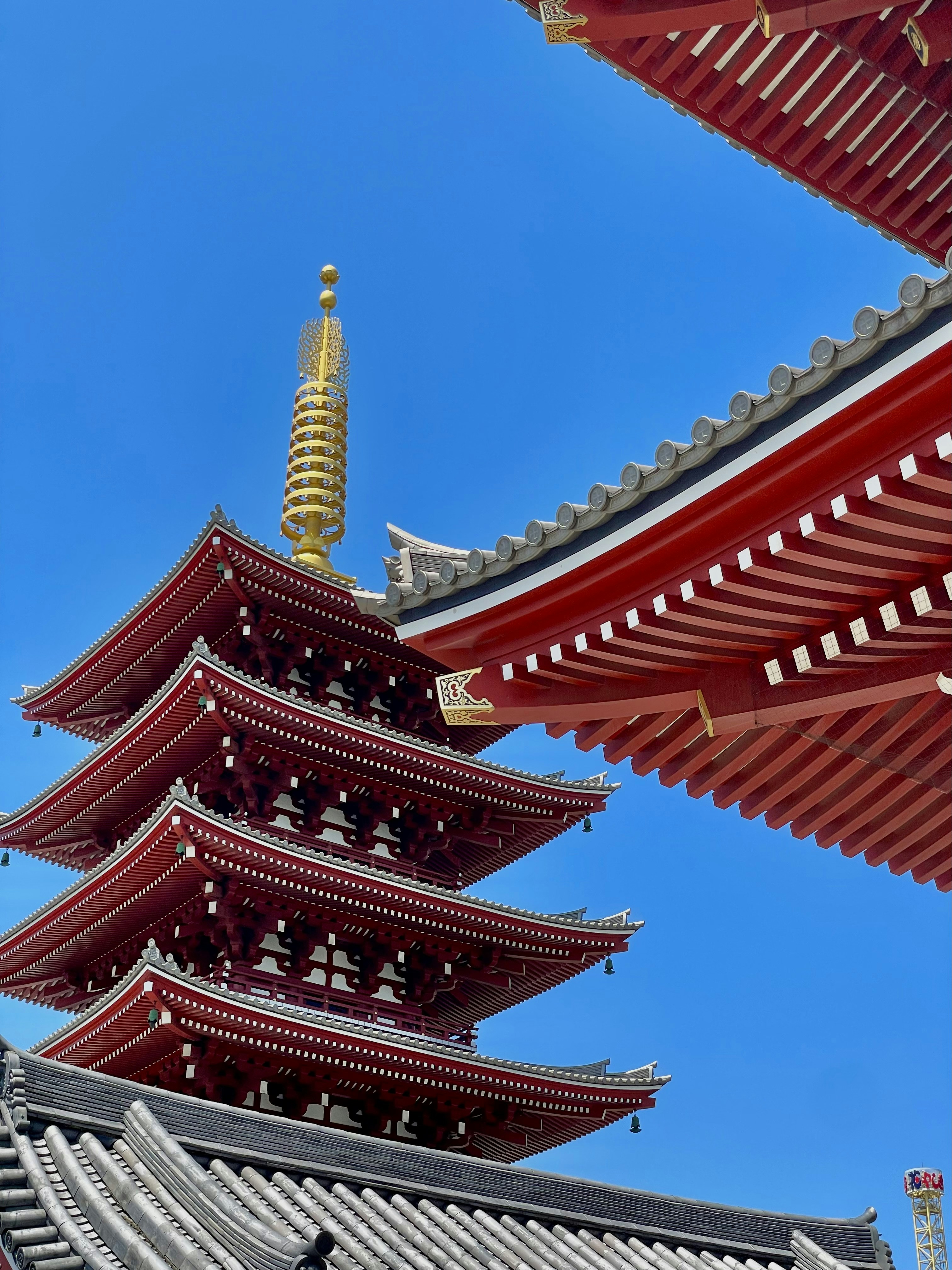 Photo by yashbanka123