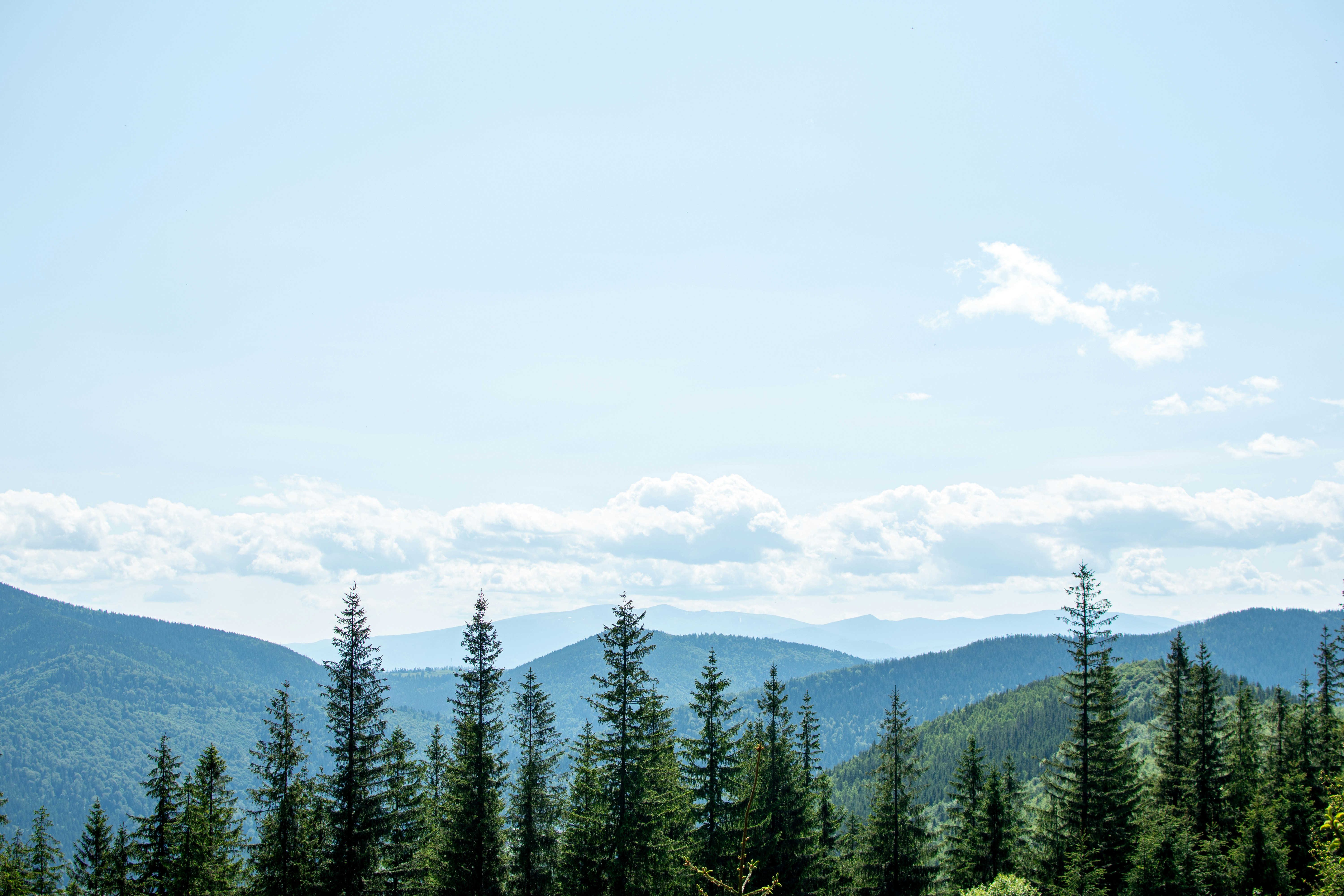 Photo by yevhen_stienin