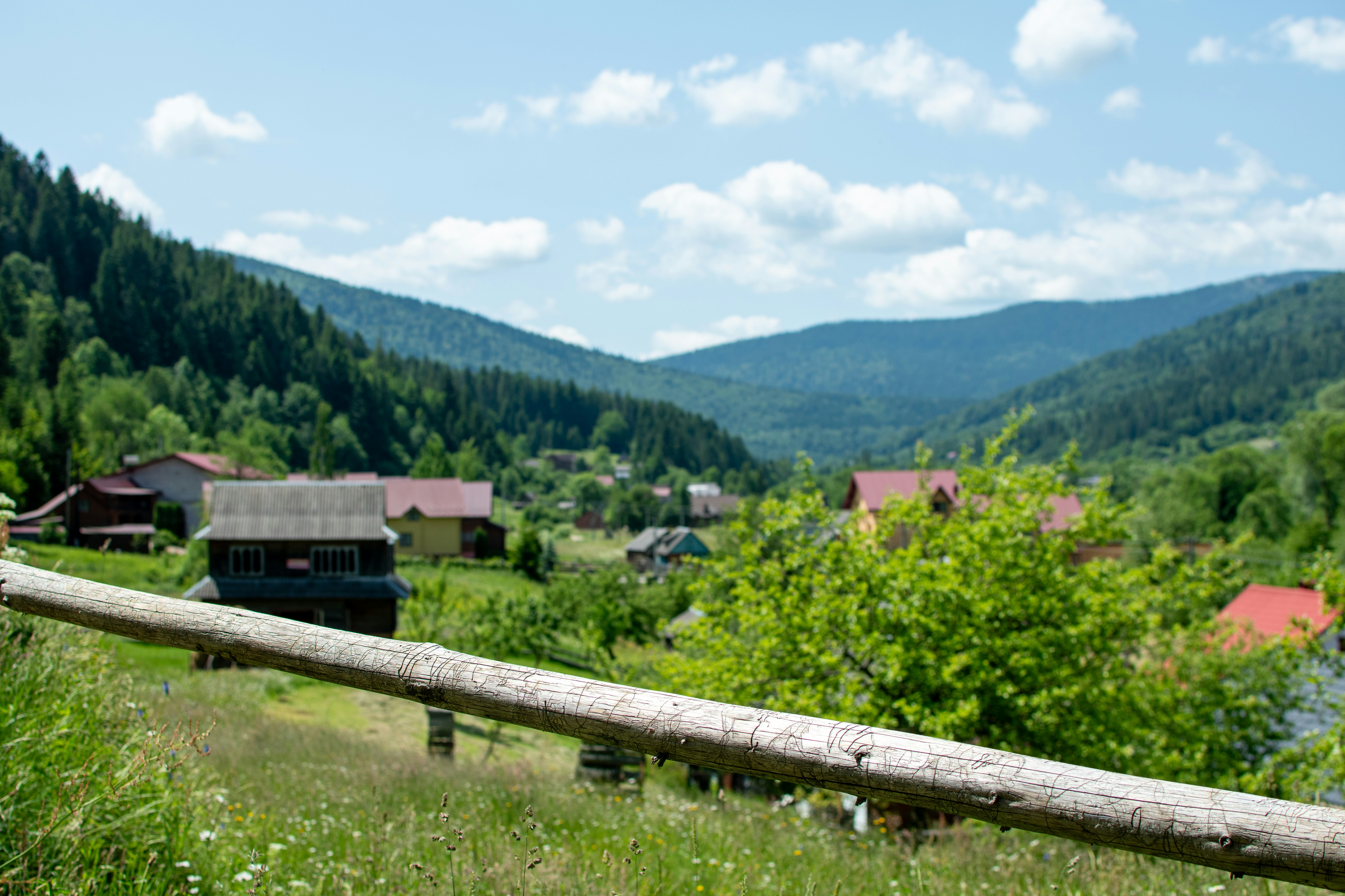 Photo by yevhen_stienin