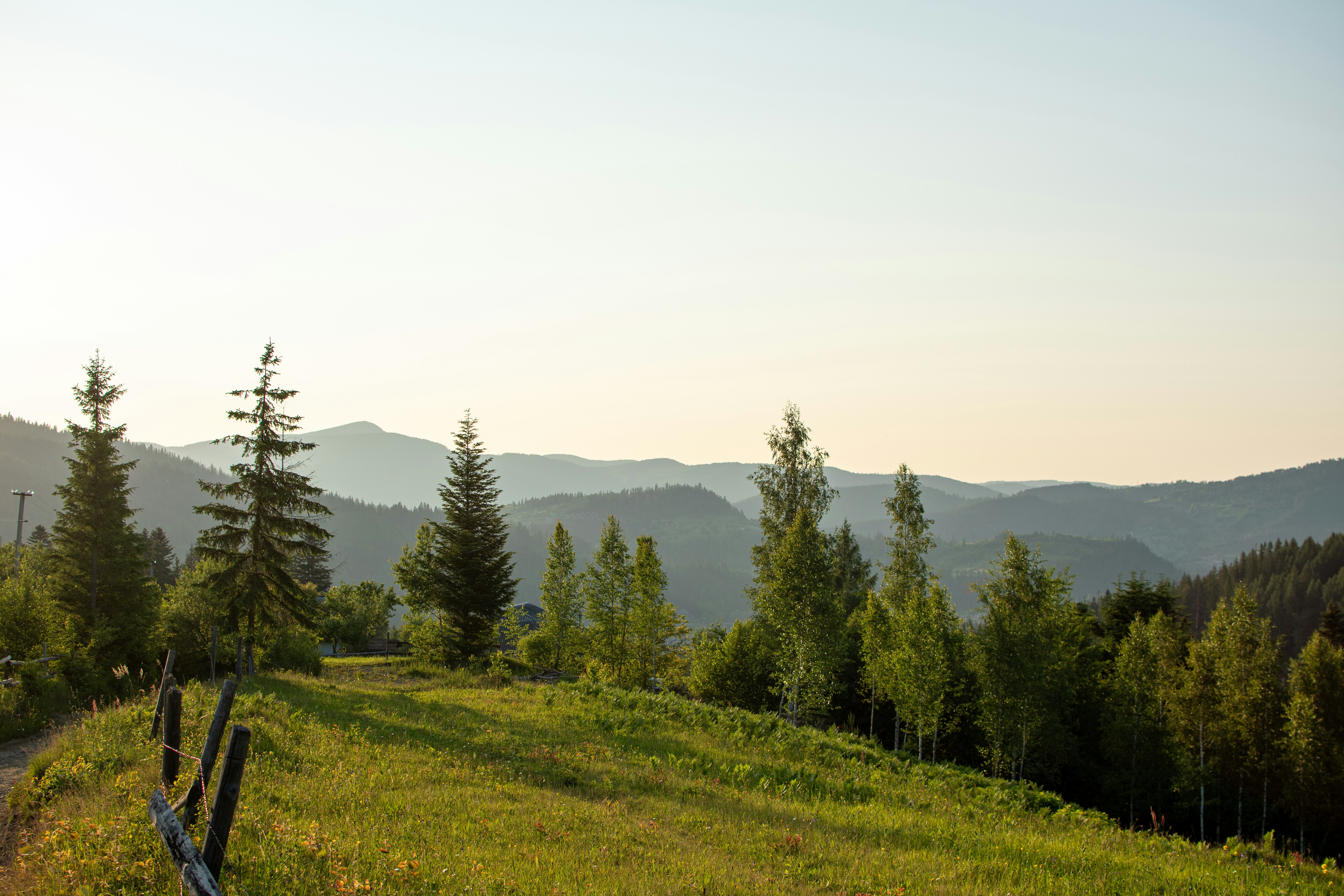 Photo by yevhen_stienin