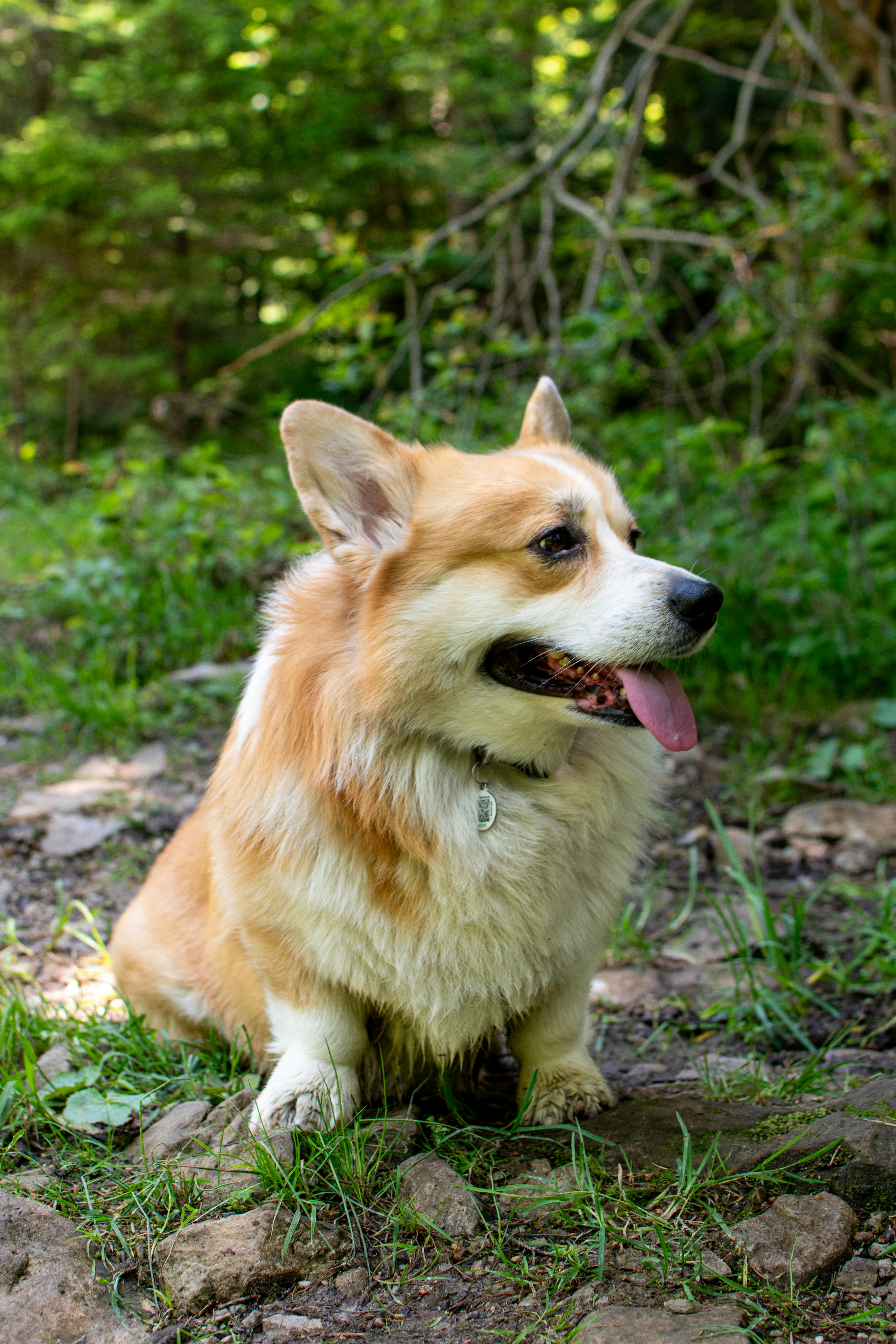 Photo by yevhen_stienin