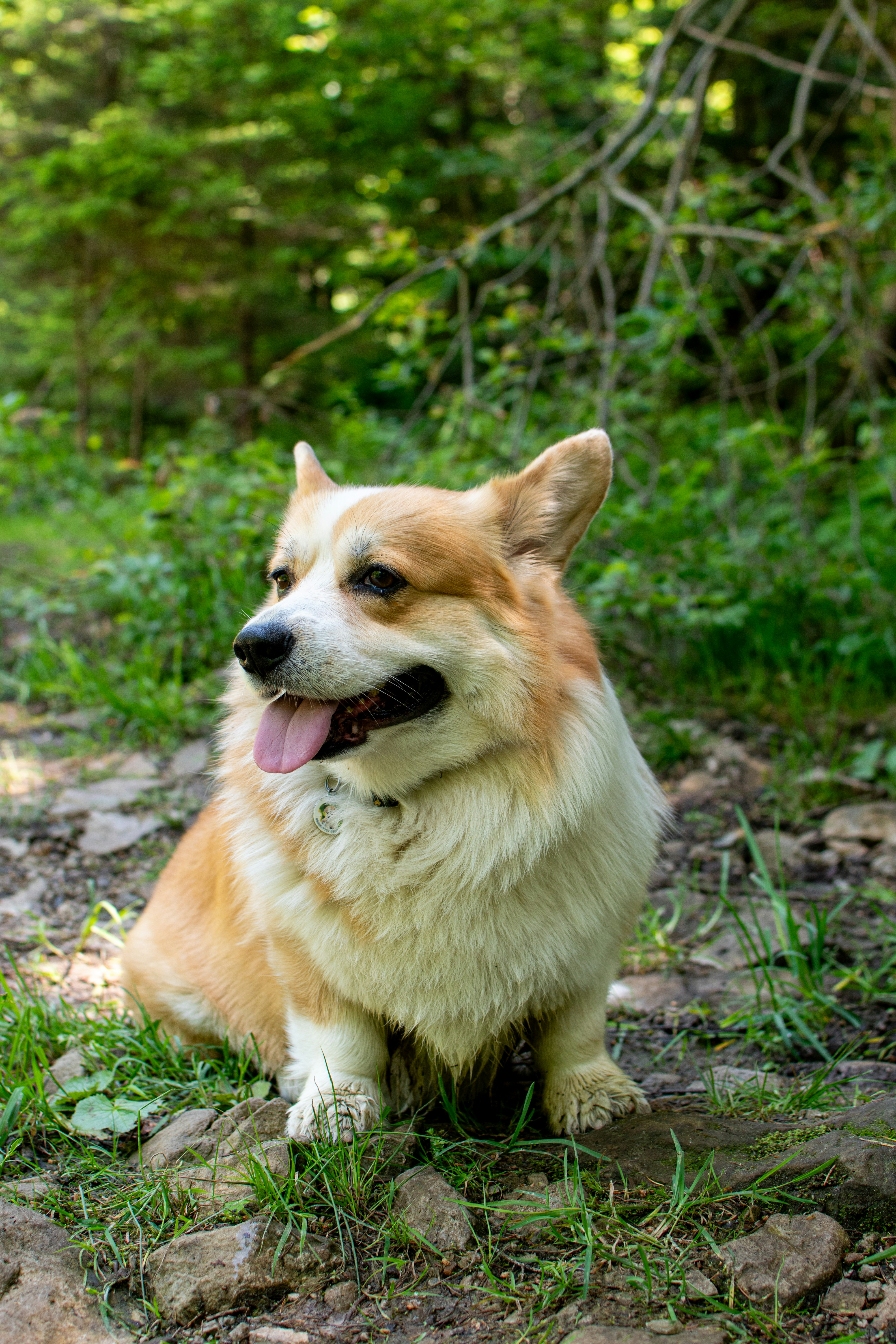 Photo by yevhen_stienin