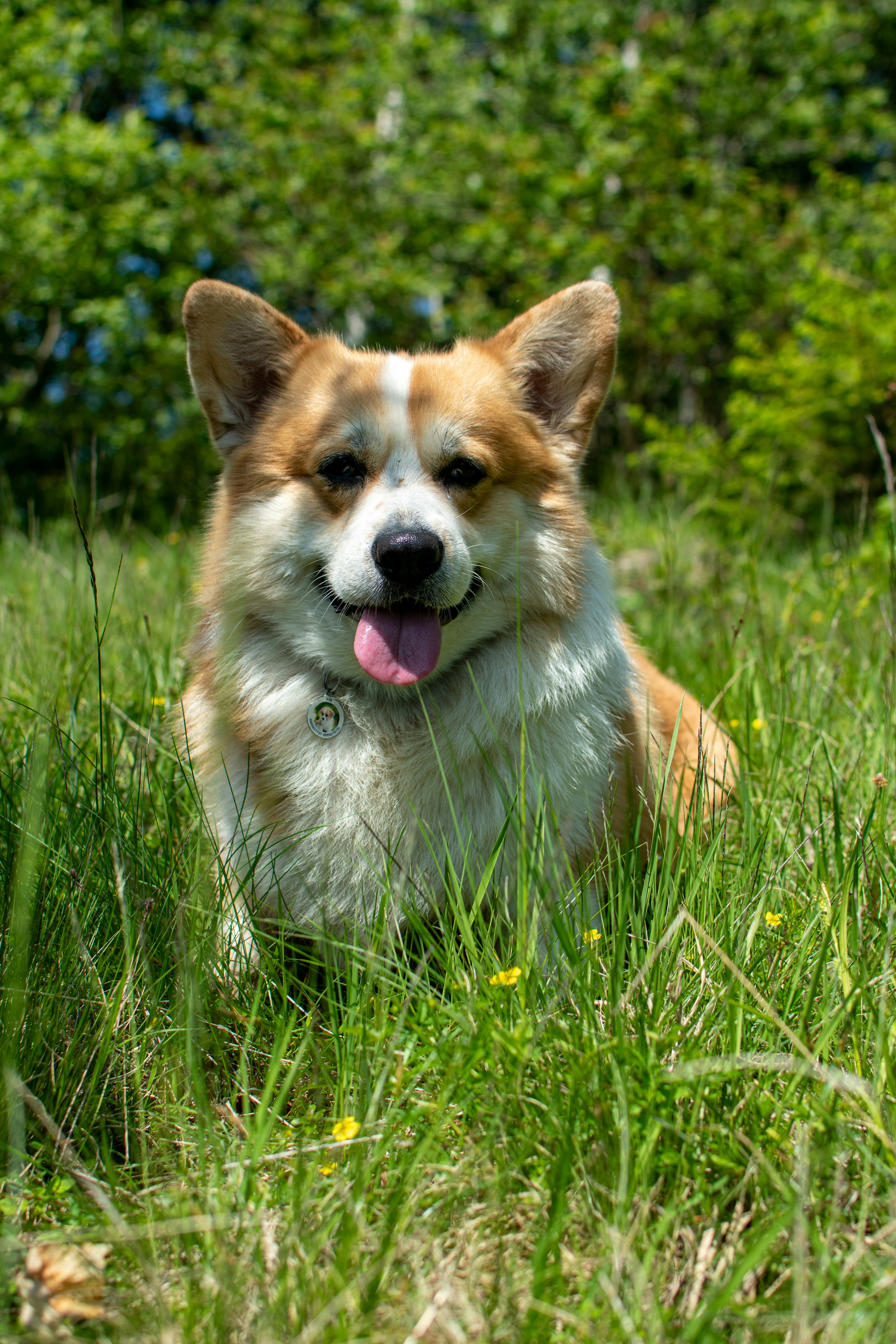 Photo by yevhen_stienin