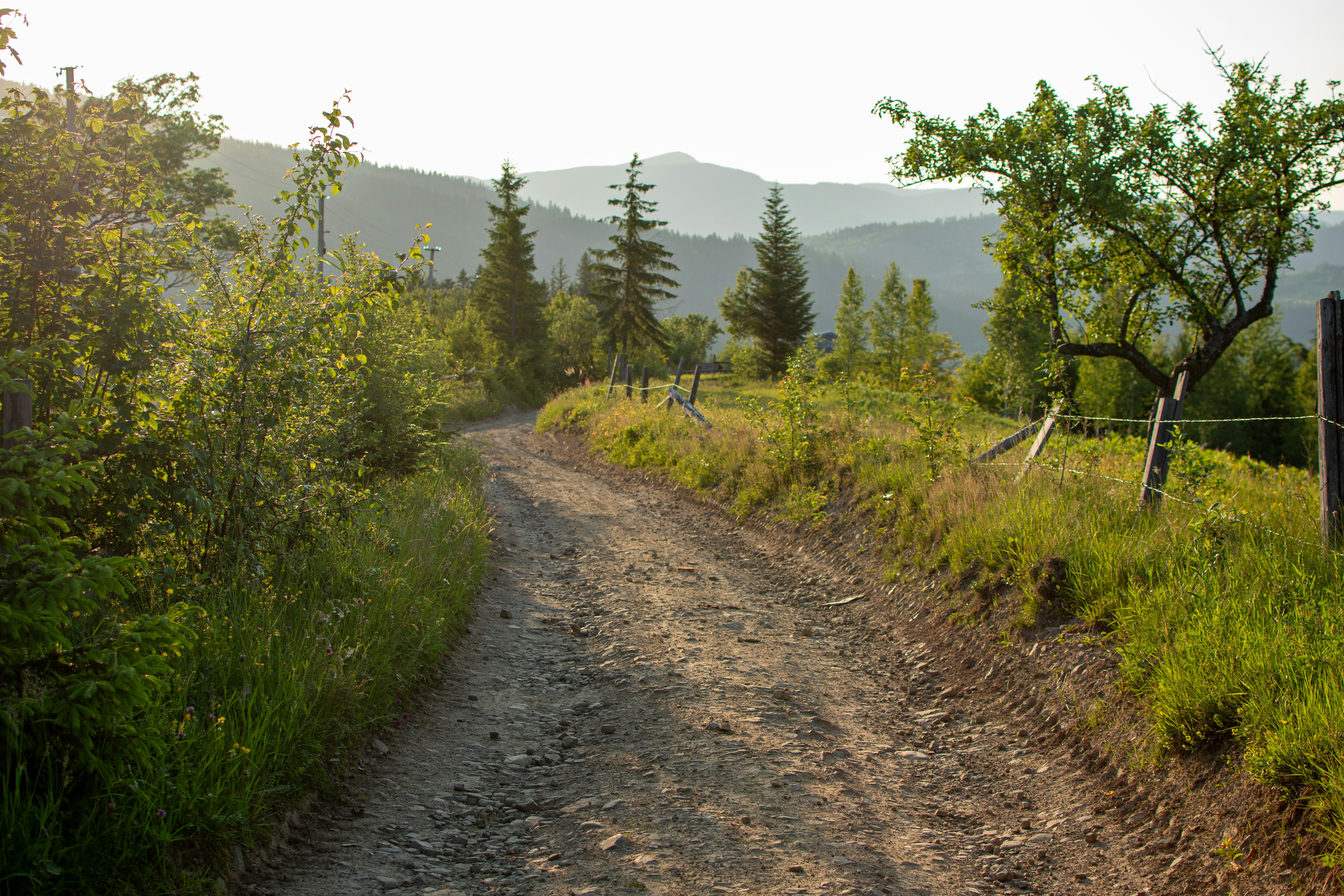 Photo by yevhen_stienin