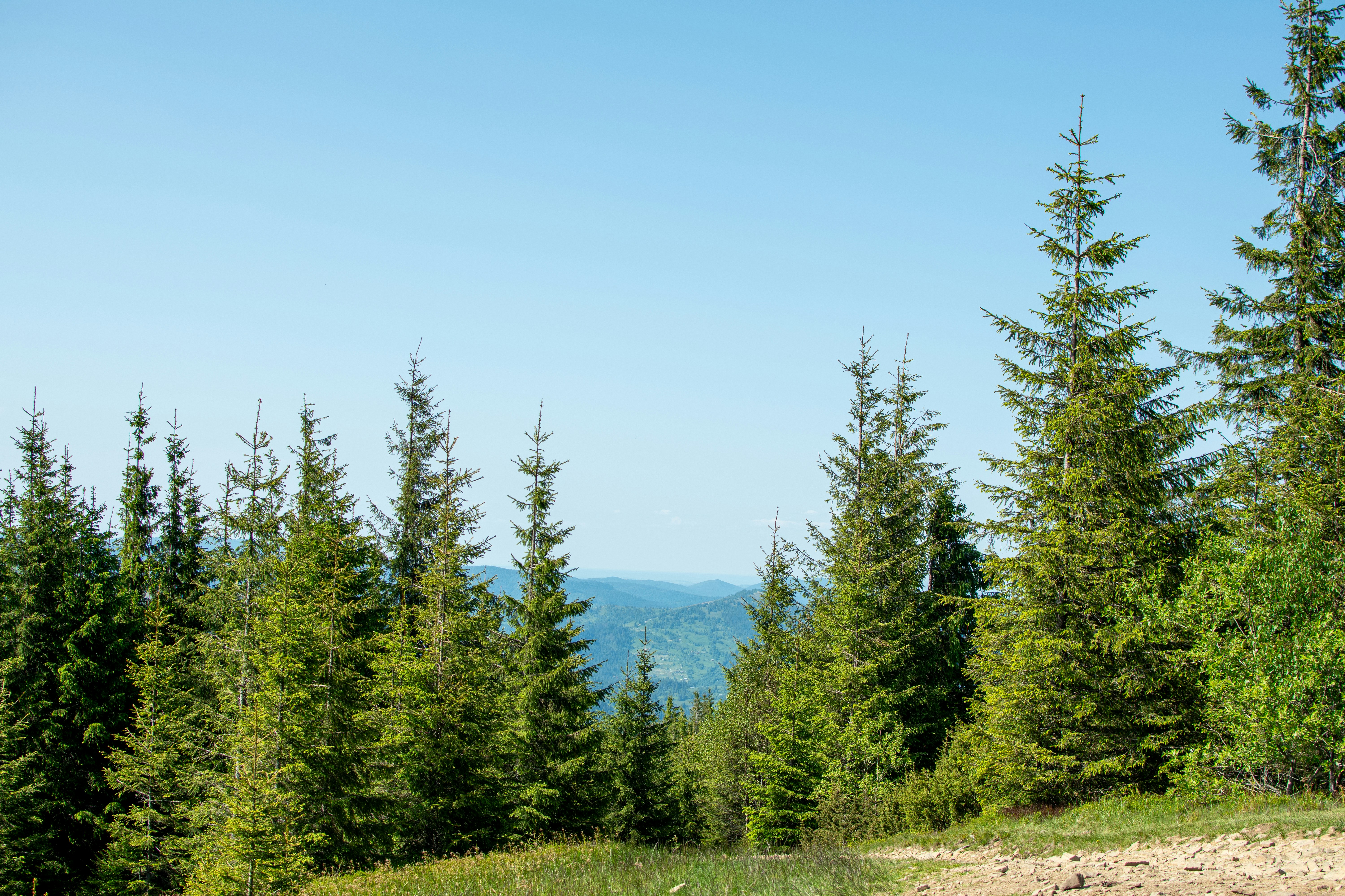 Photo by yevhen_stienin