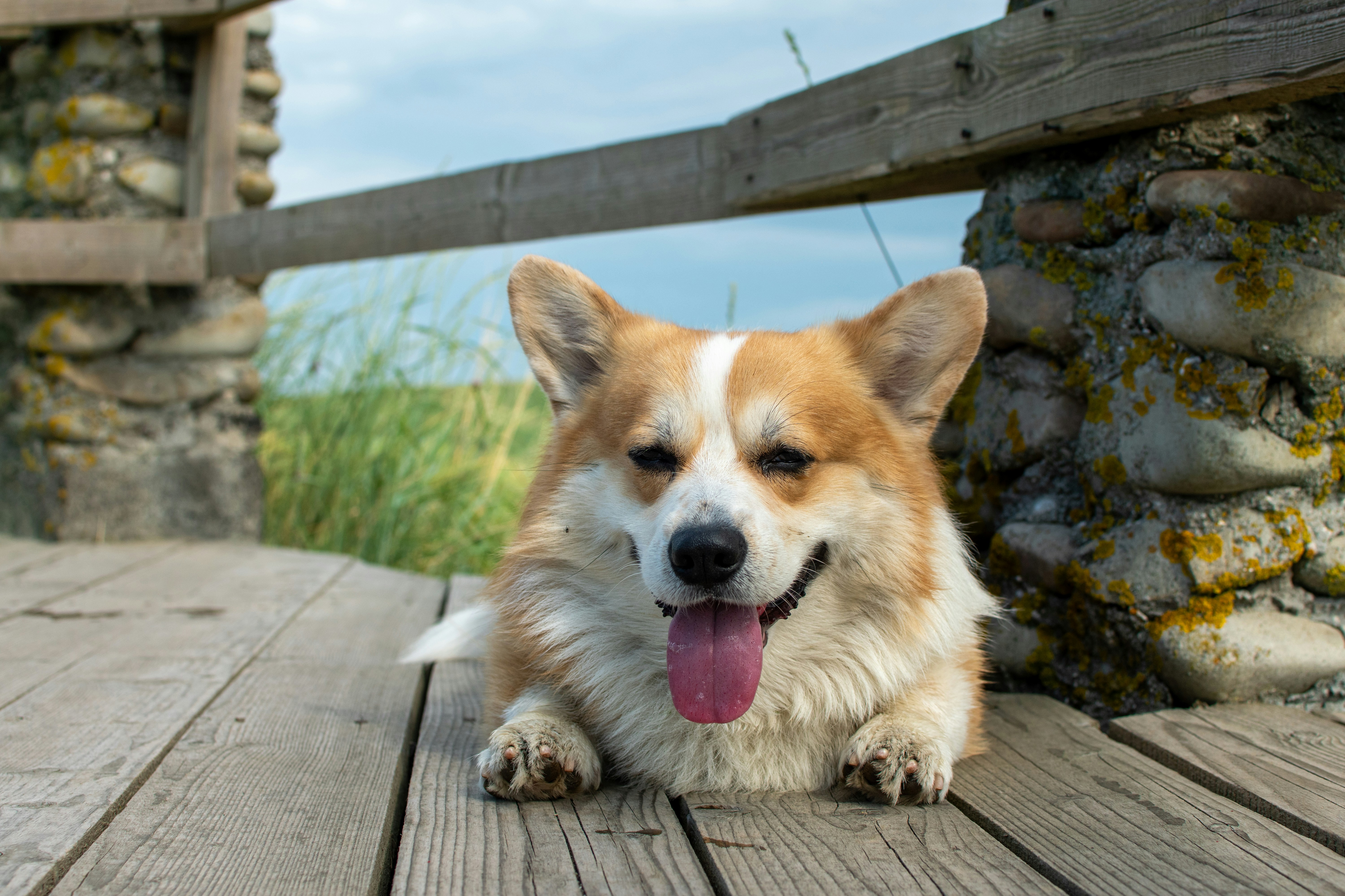 Photo by yevhen_stienin