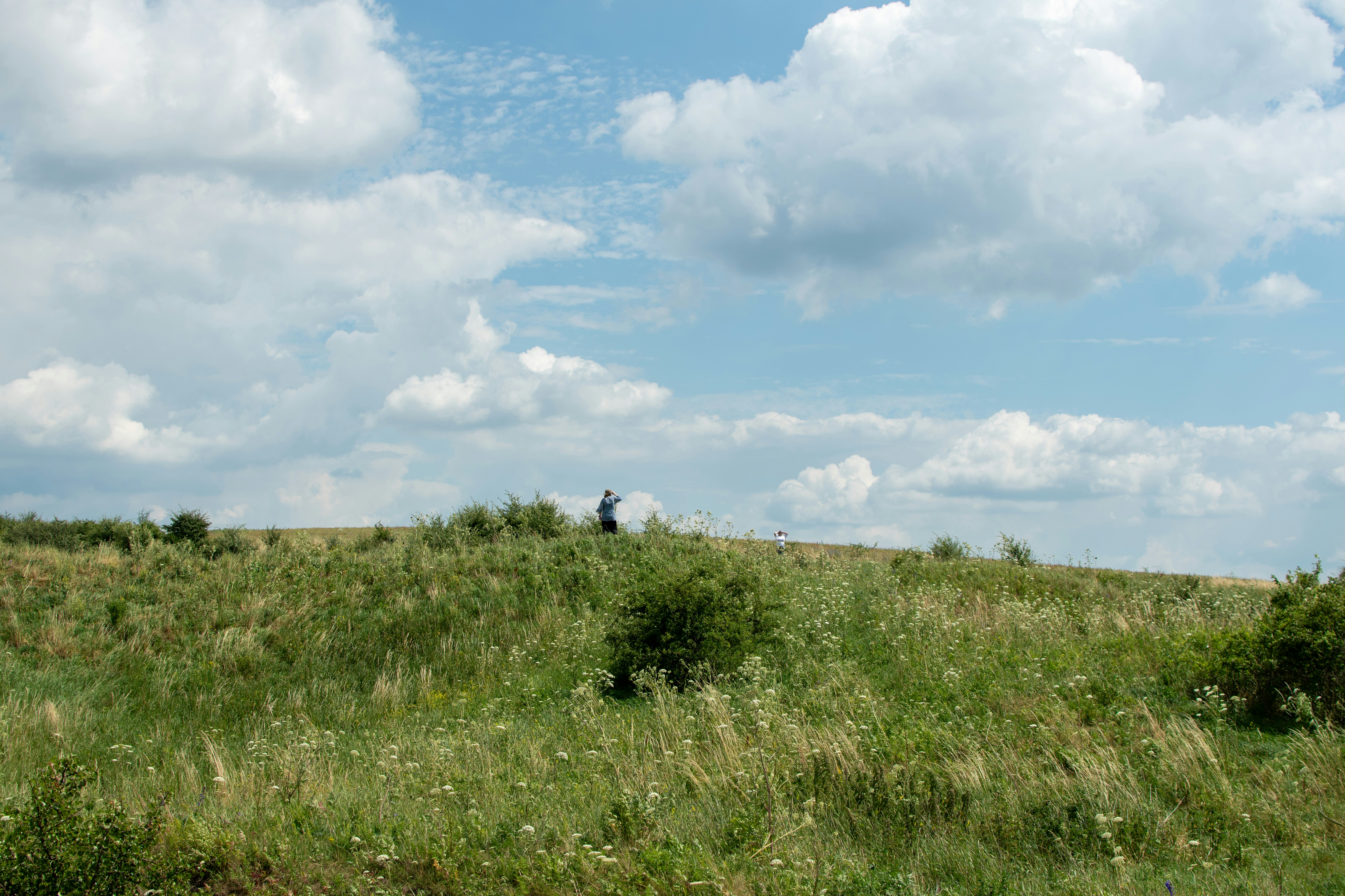 Photo by yevhen_stienin