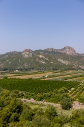 Rolling green fields and mountains under a blue sky.