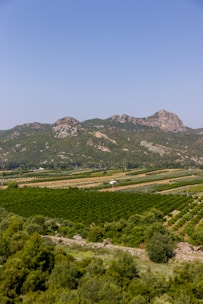 Rolling green fields and mountains under a blue sky.