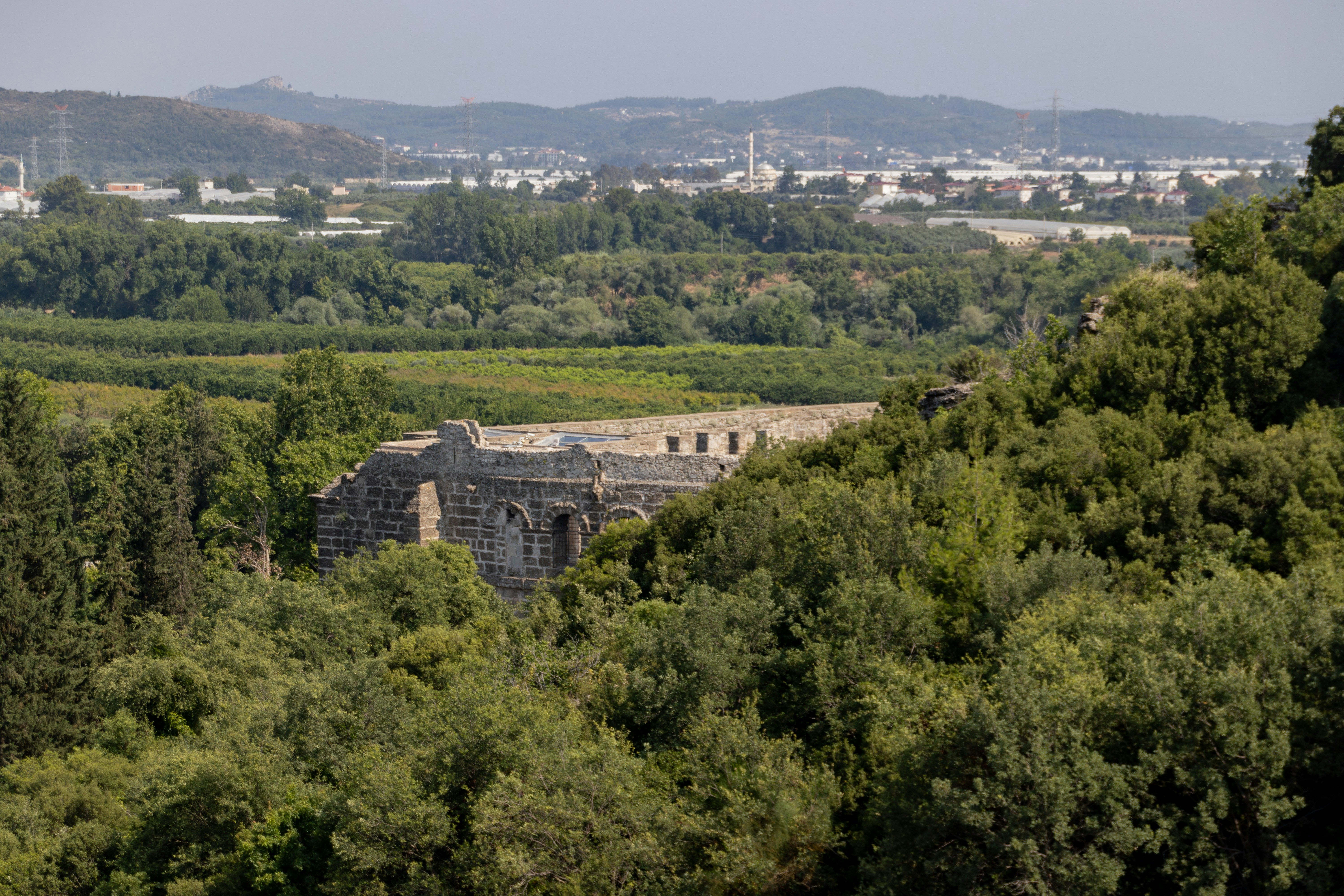 Ancient ruins are surrounded by lush greenery.